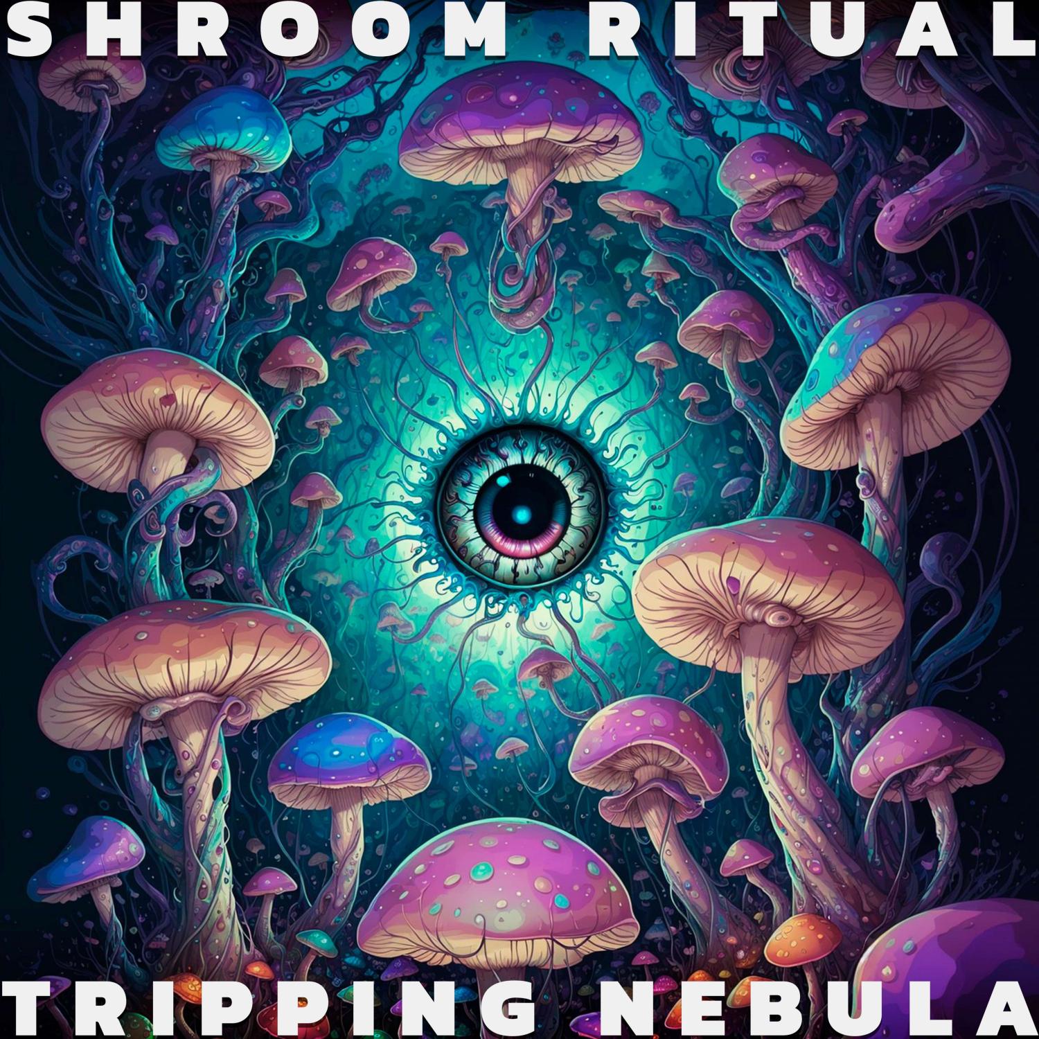 Постер альбома Shroom Ritual