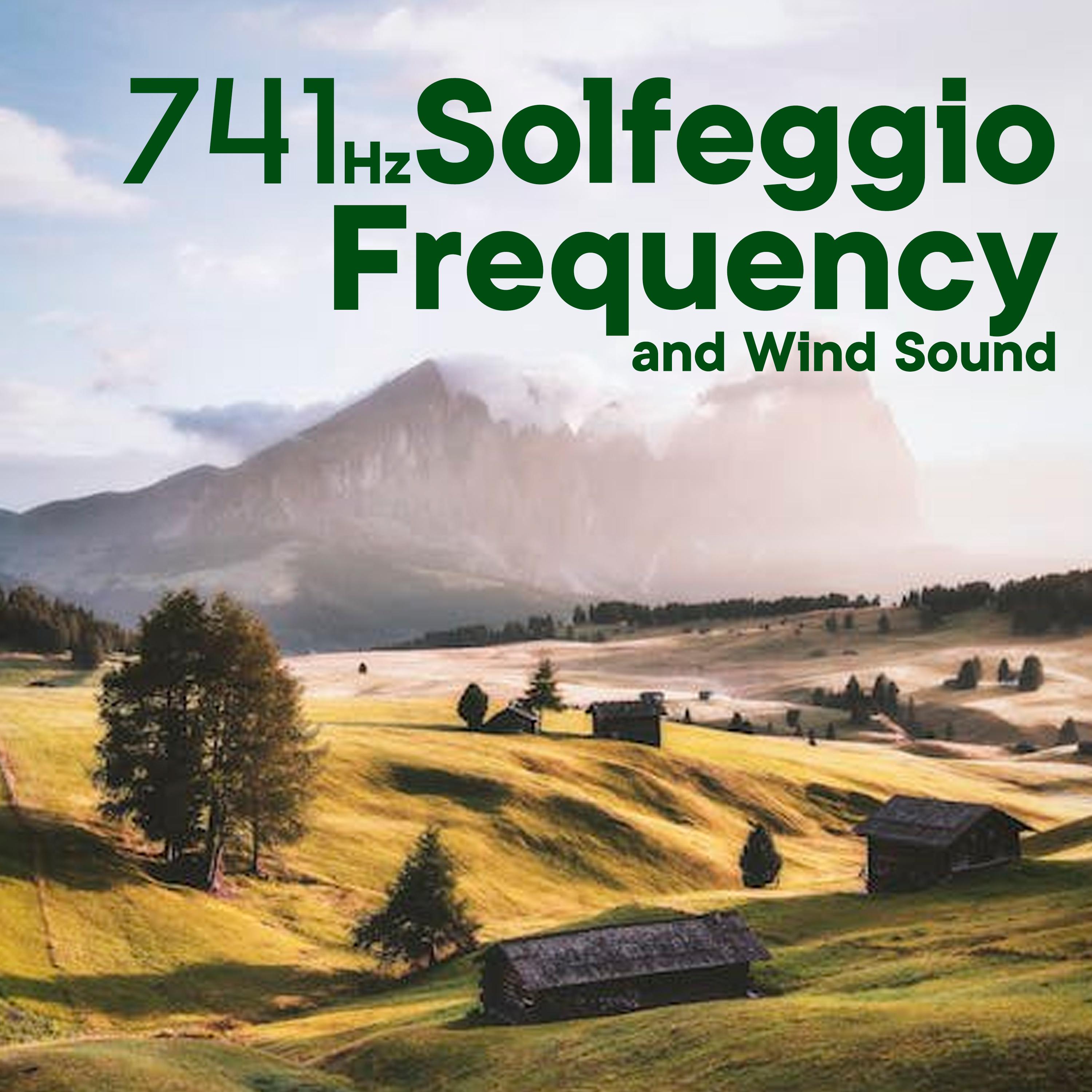 Постер альбома 741Hz Solfeggio Frequency And Wind Sound