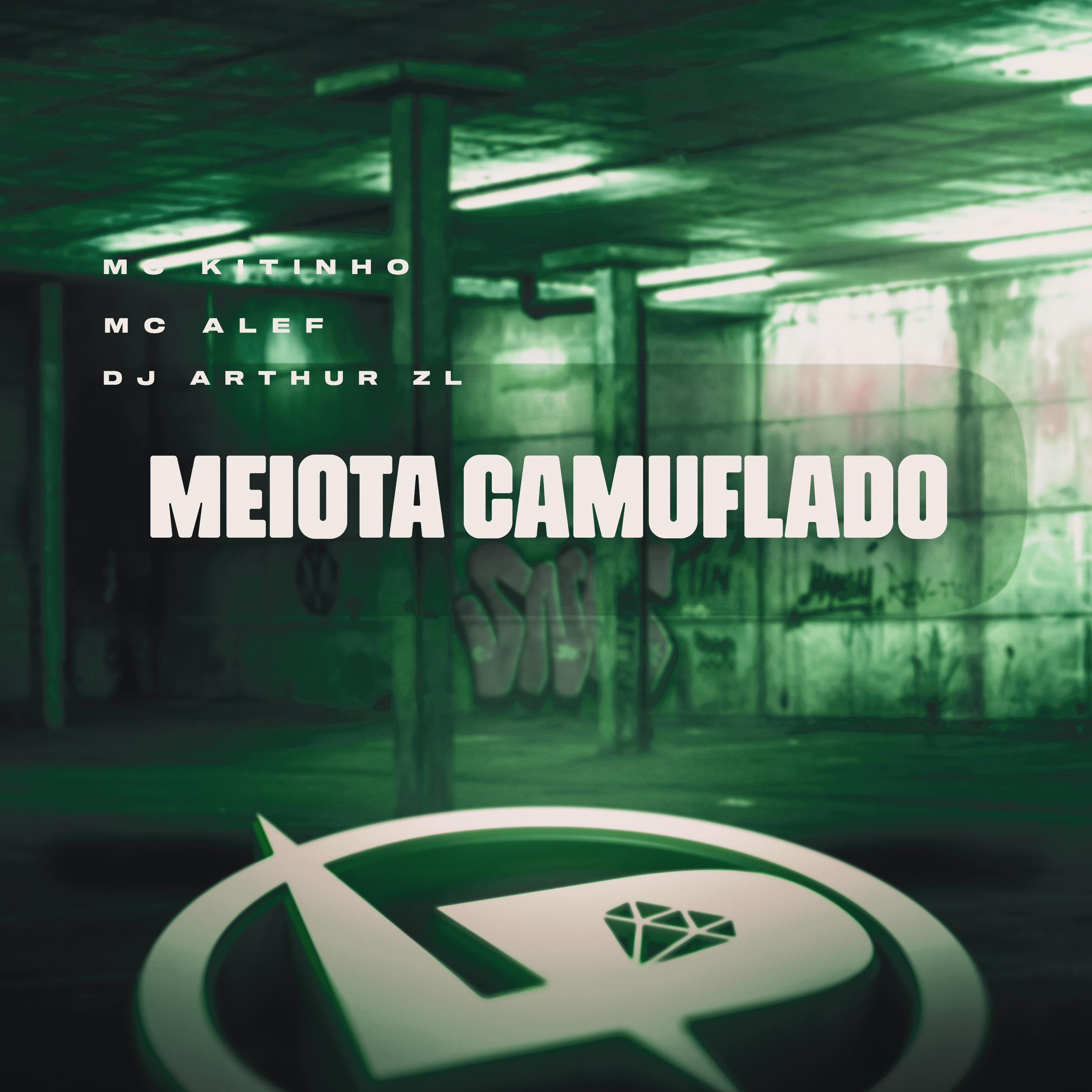 Постер альбома Meiota Camuflado