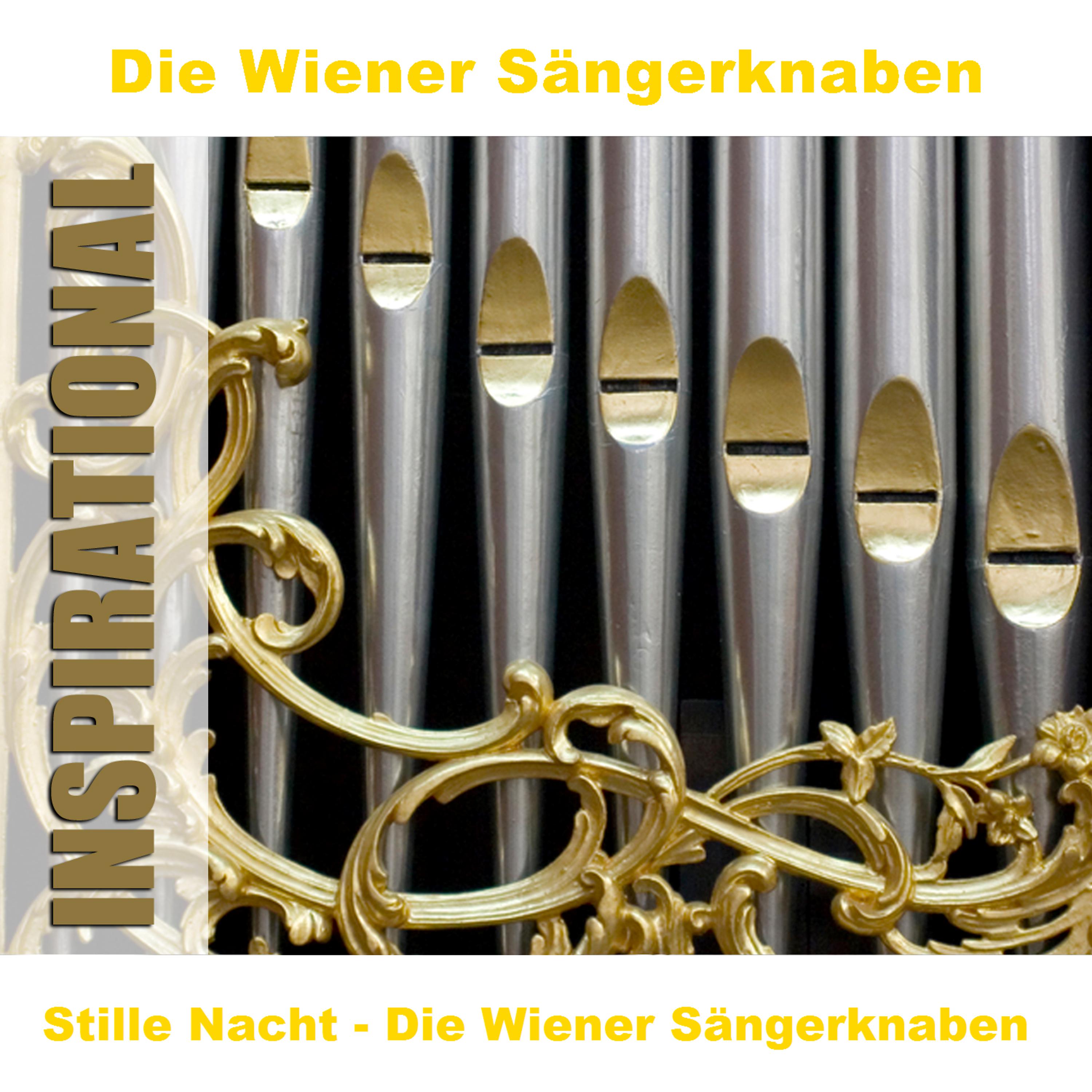 Постер альбома Stille Nacht - Die Wiener Sängerknaben