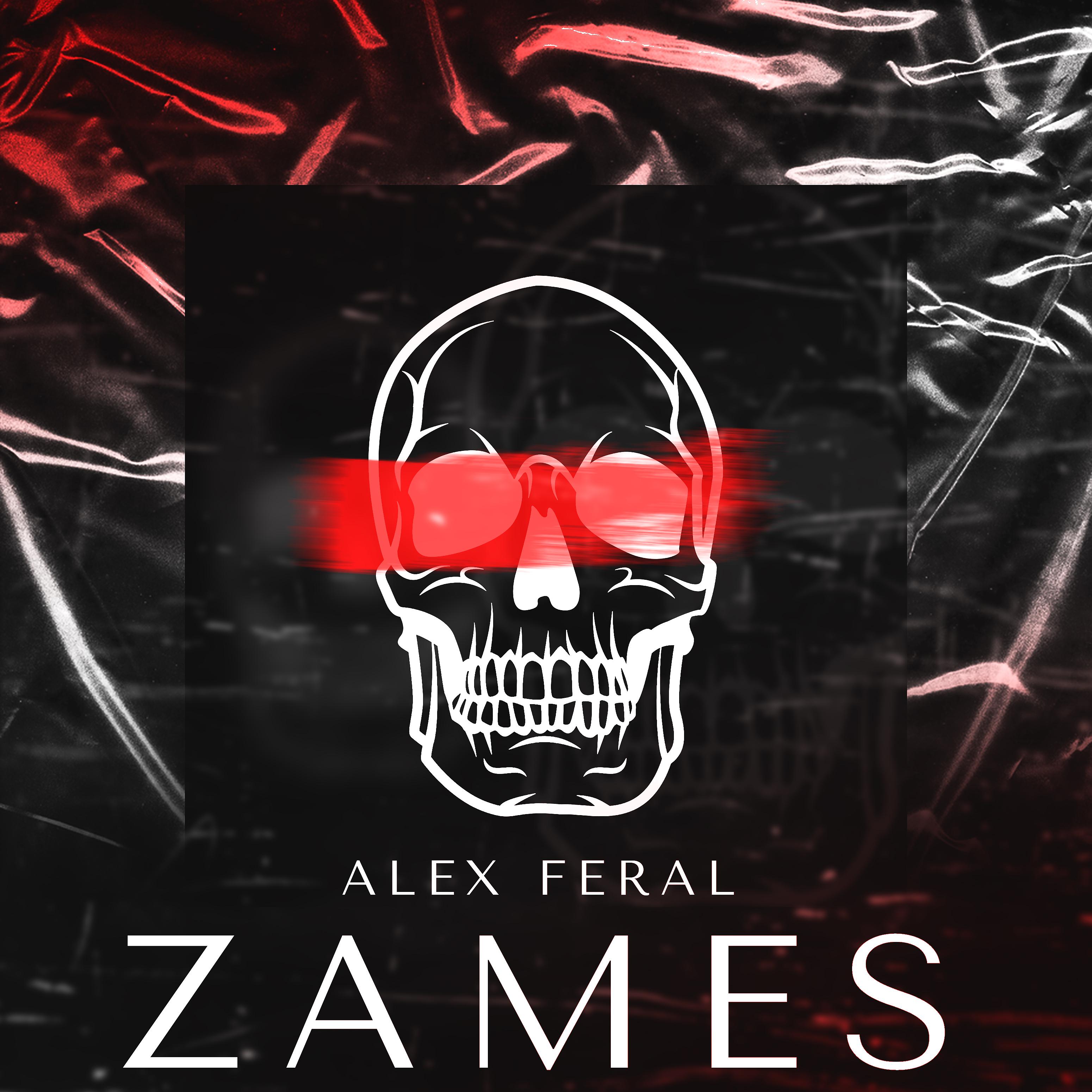 Постер альбома Zames