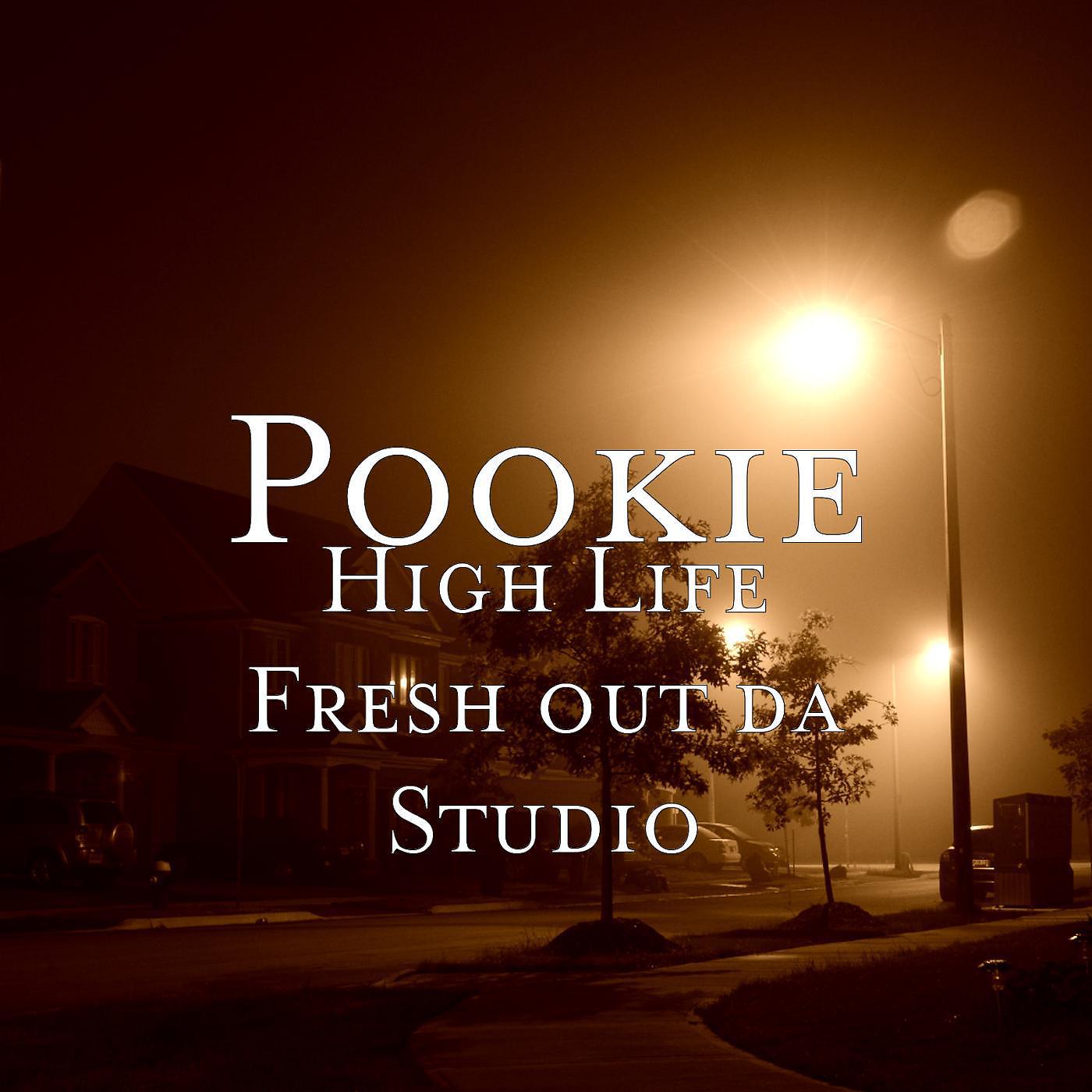 Постер альбома High Life Fresh out da Studio