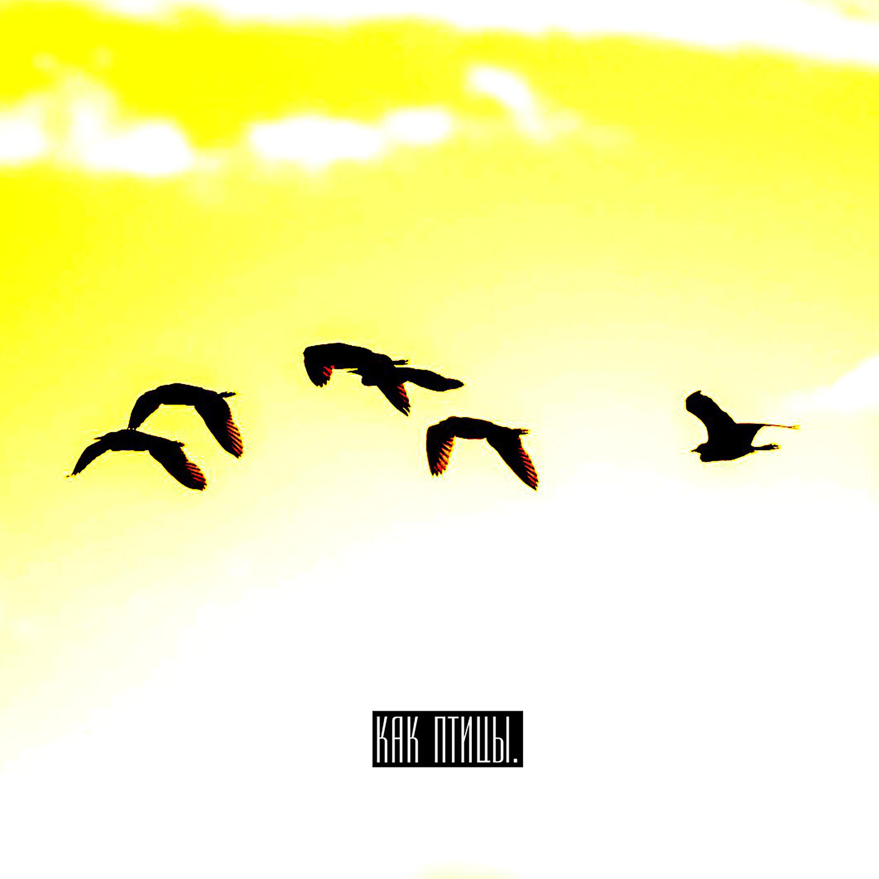 Постер альбома Как птицы
