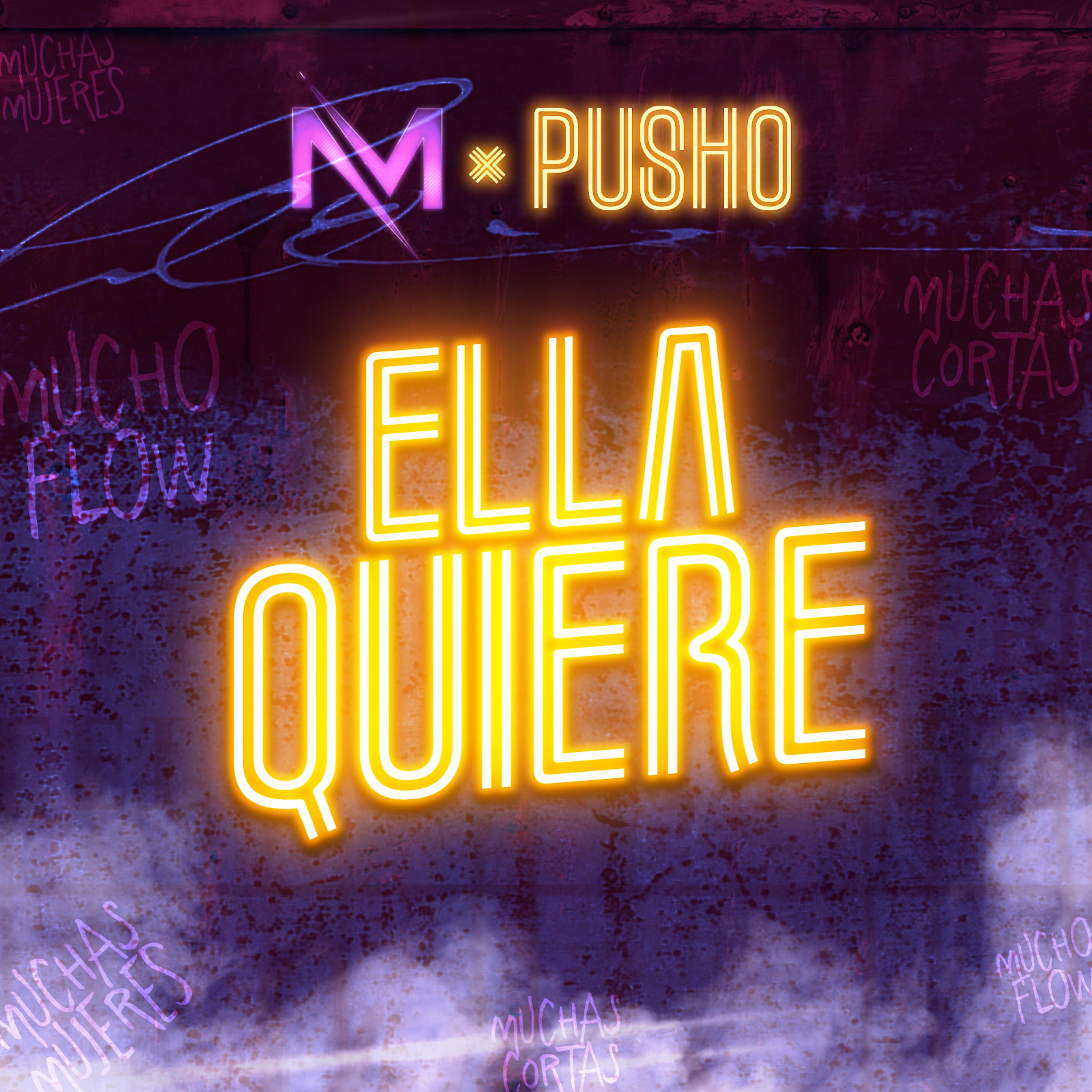 Постер альбома Ella Quiere