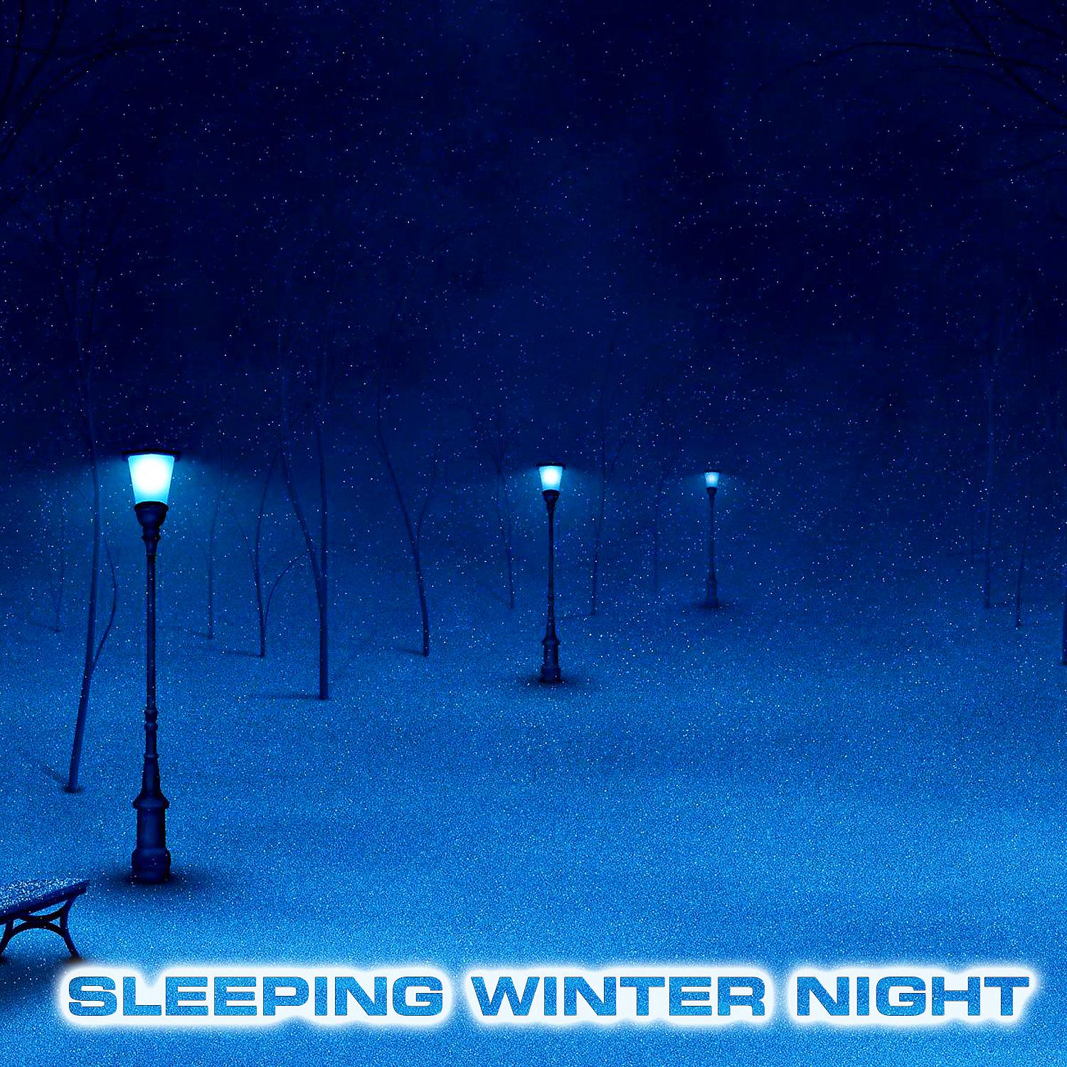 Постер альбома Sleeping Winter Night (feat. White Noise Sounds For Sleep, White Noise Ambience, National Geographic Soundscapes, Soothing Baby Sounds & North Blizzard White Noise)