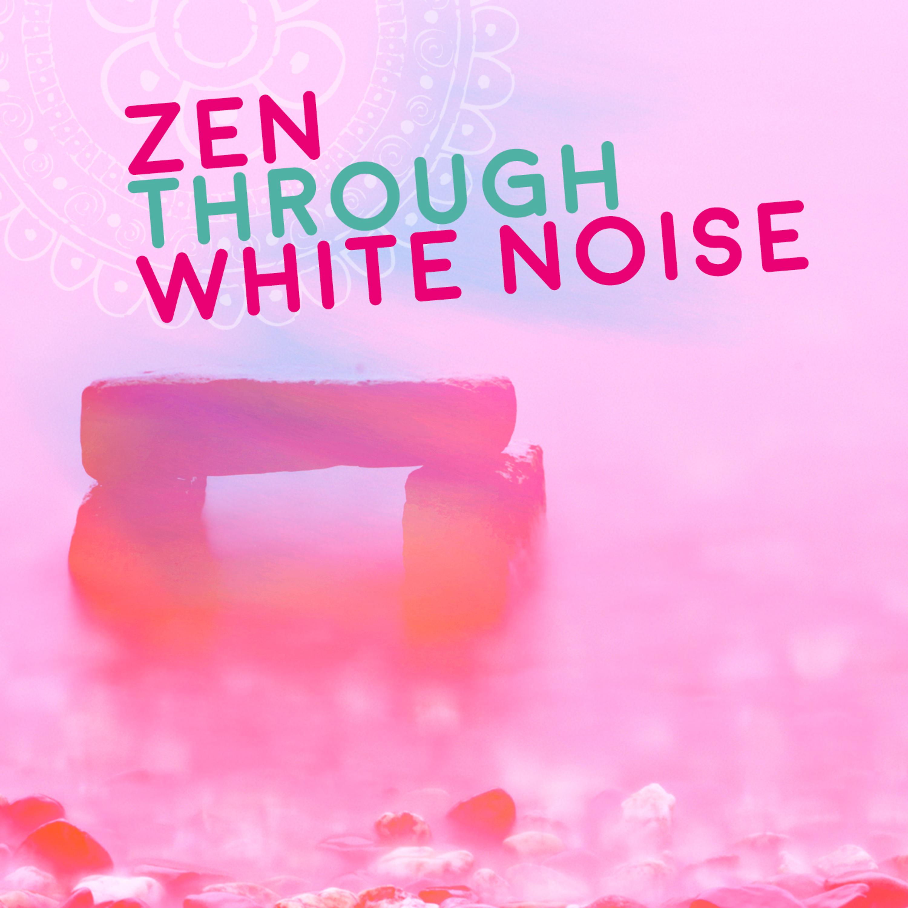 Постер альбома Zen Through White Noise