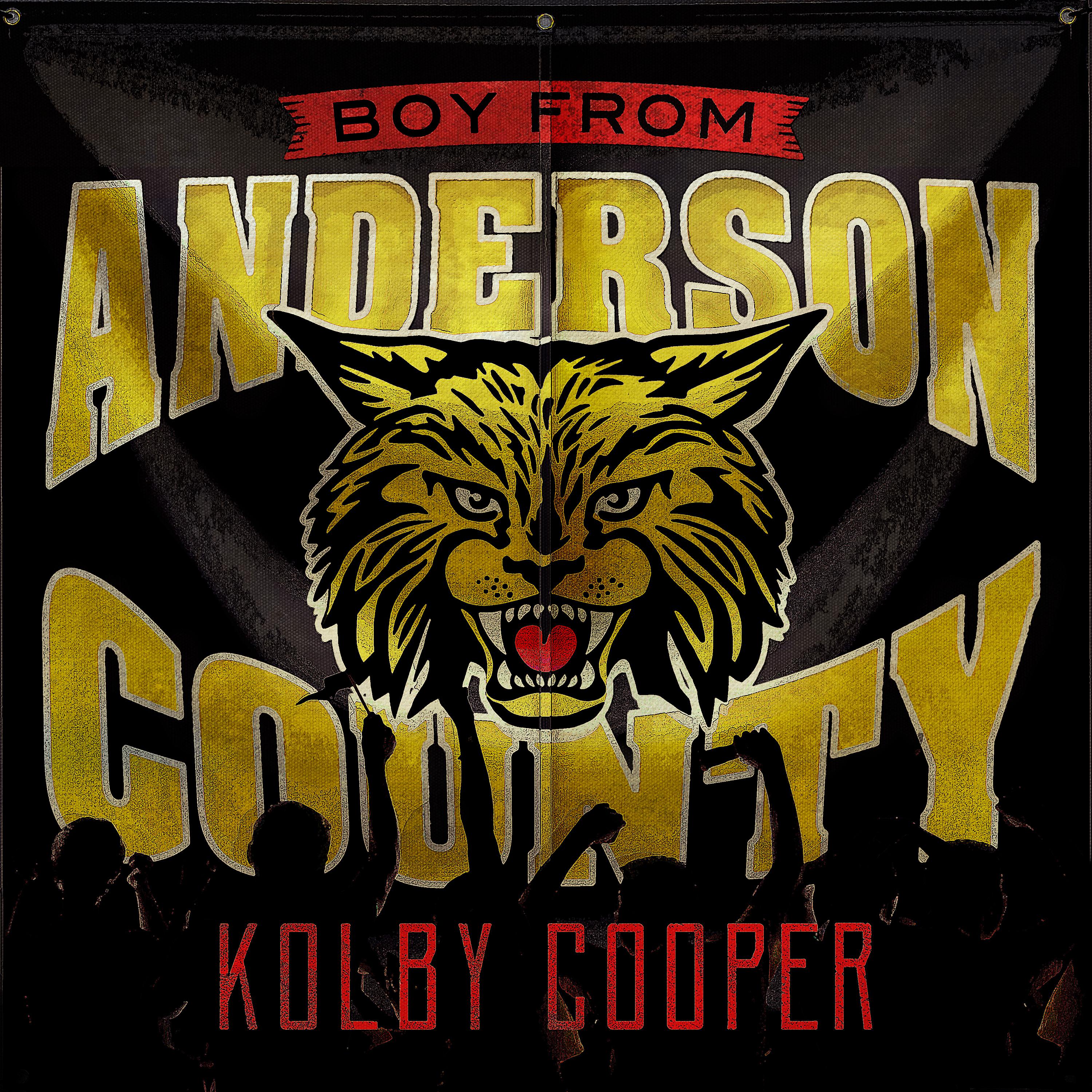 Постер альбома Boy From Anderson County
