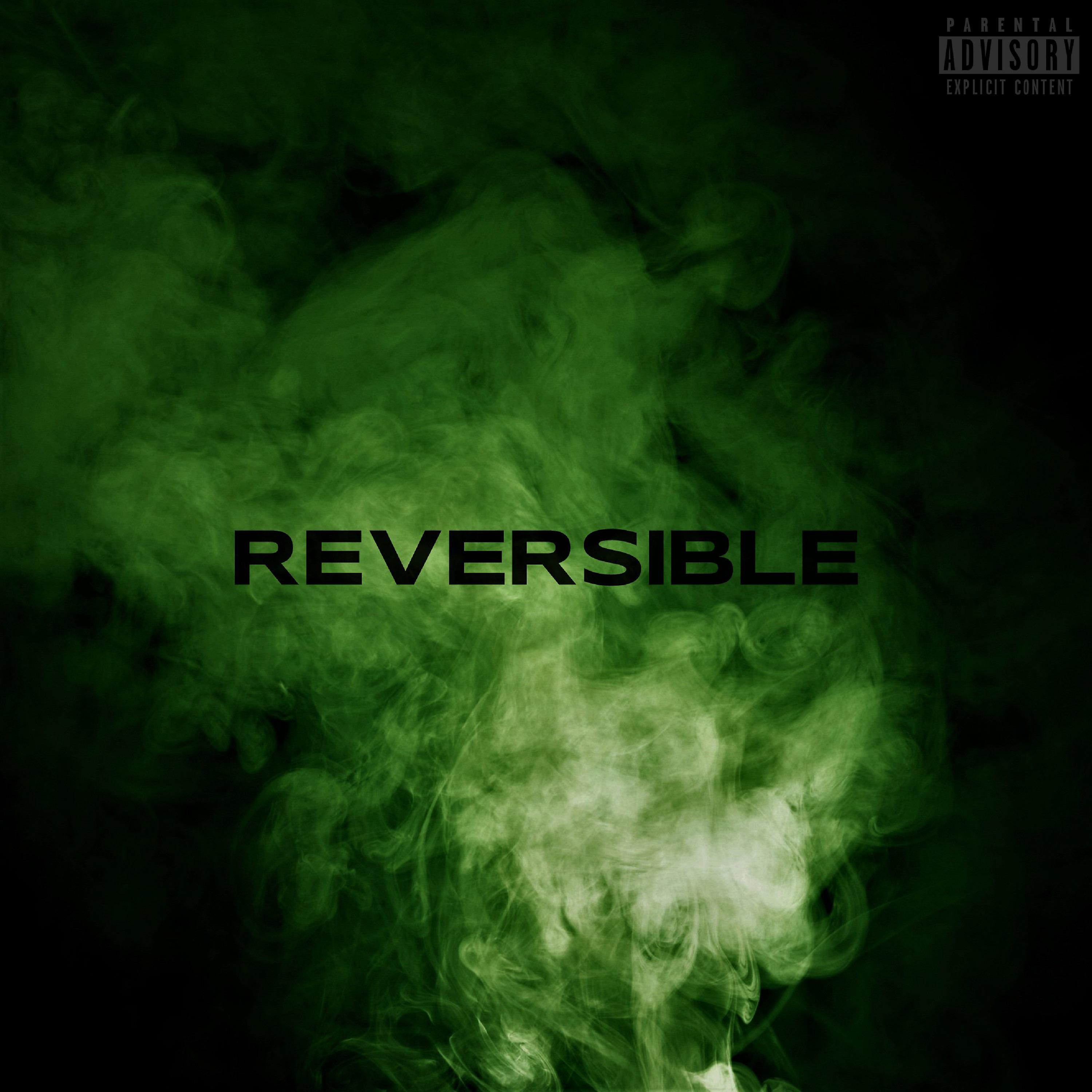 Постер альбома Reversible