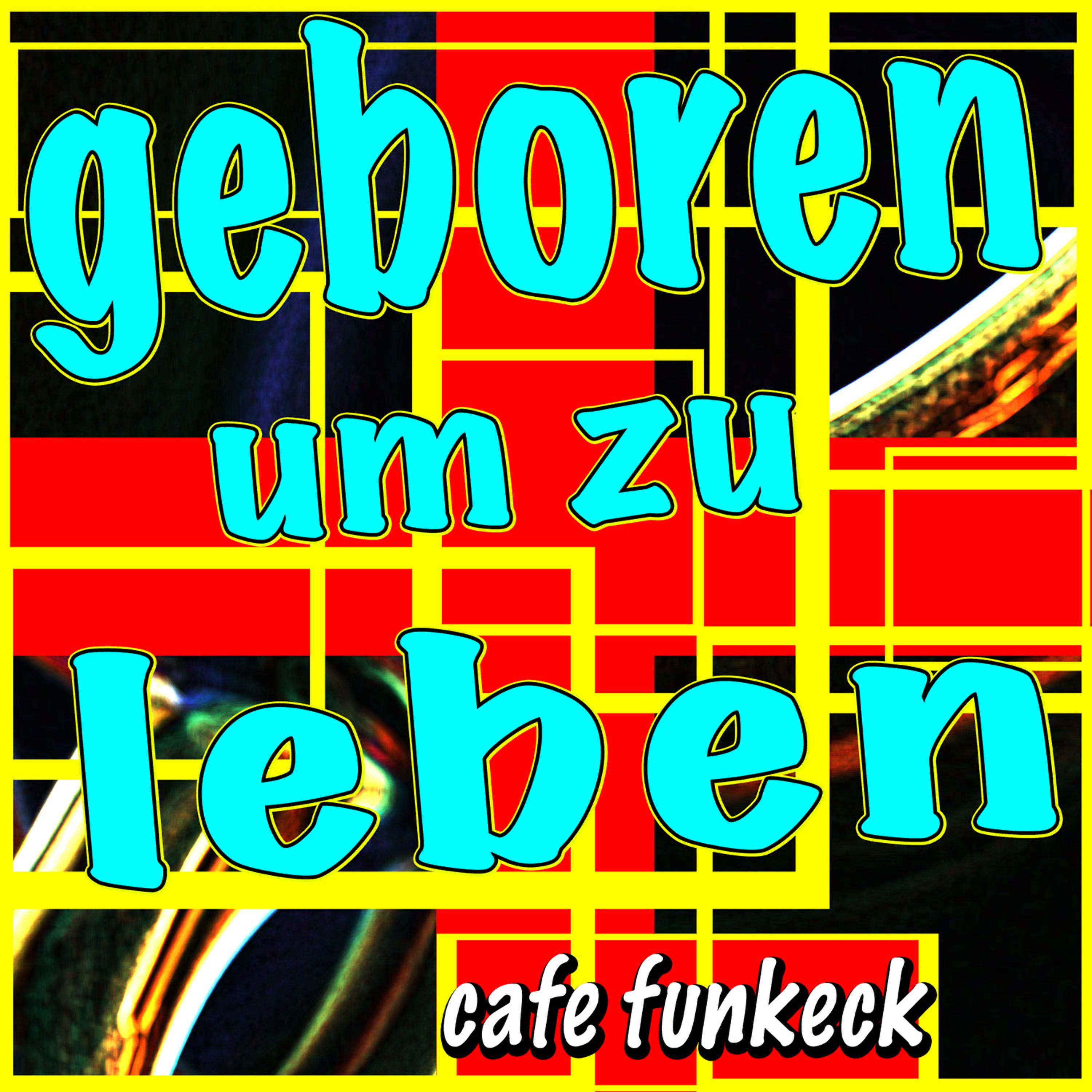 Постер альбома Geboren Um Zu Leben