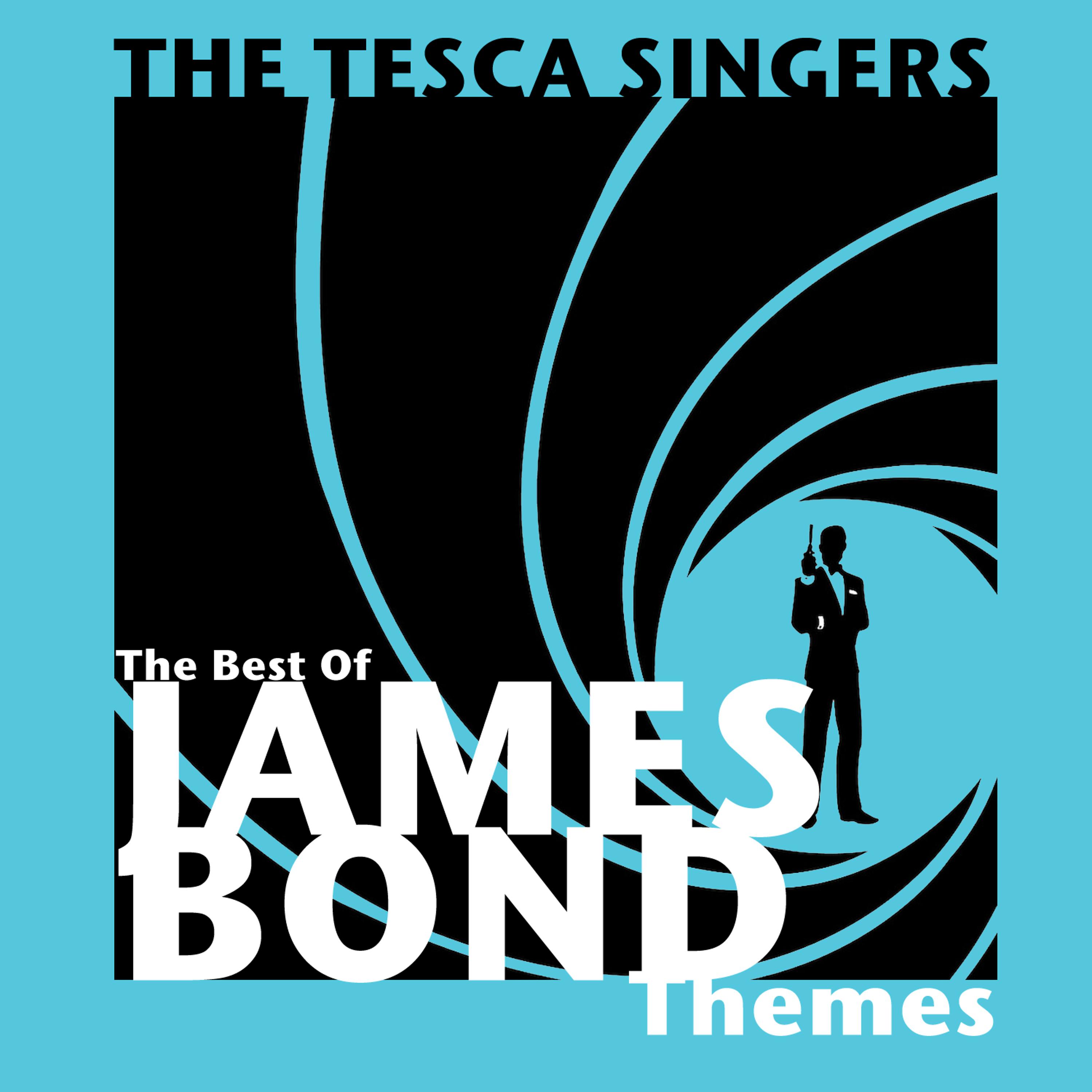Постер альбома Best of James Bond Themes