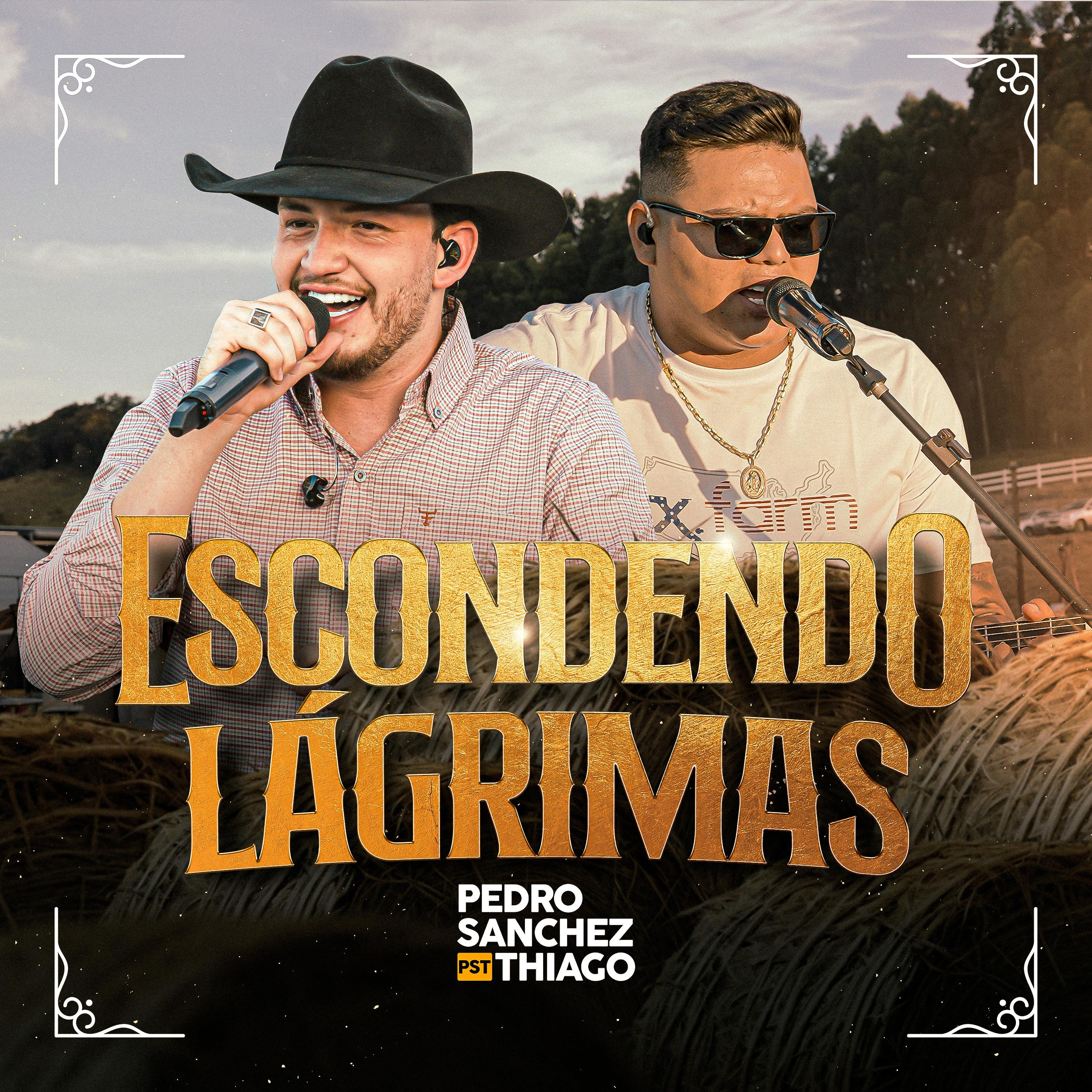 Постер альбома Escondendo Lágrimas