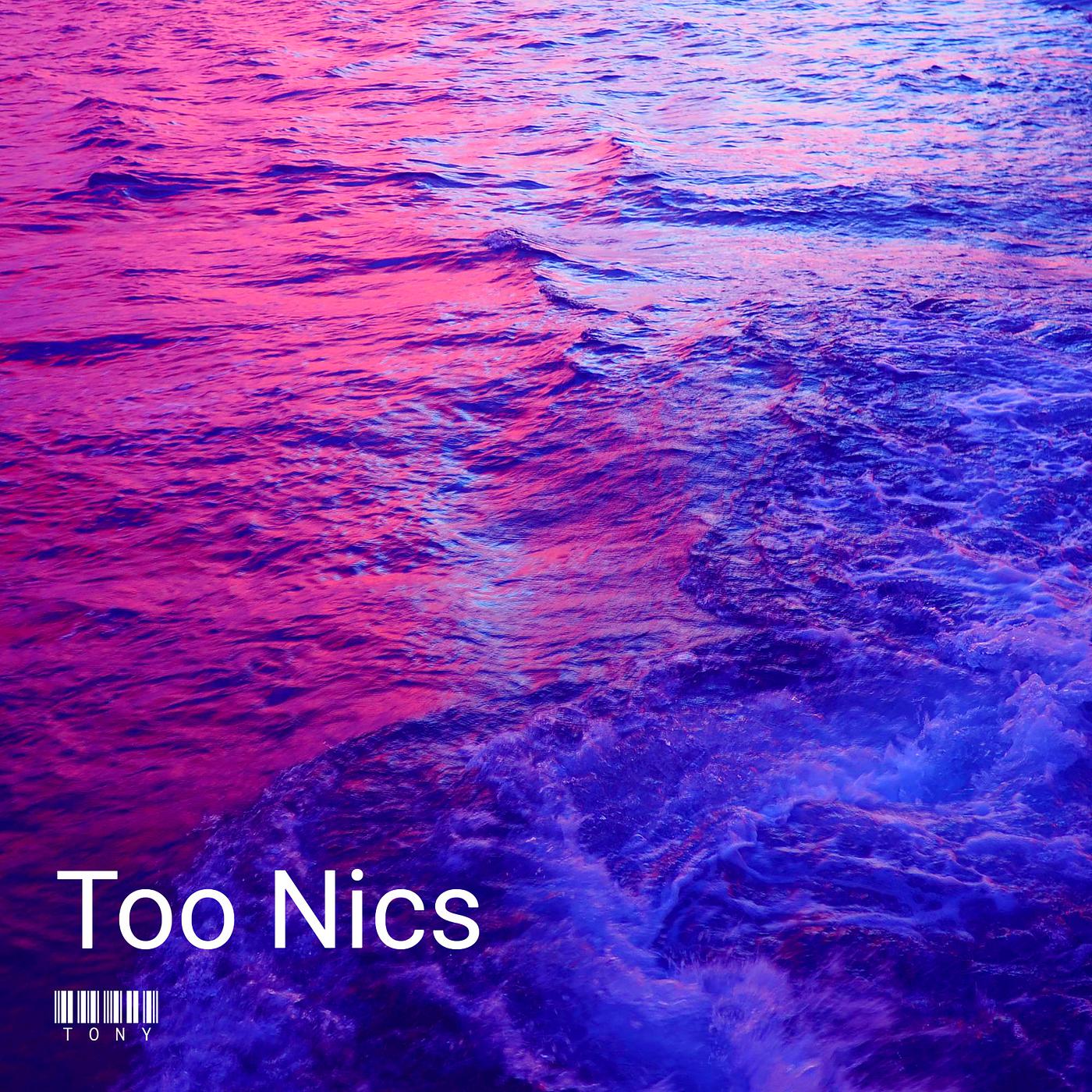 Постер альбома Too Nics