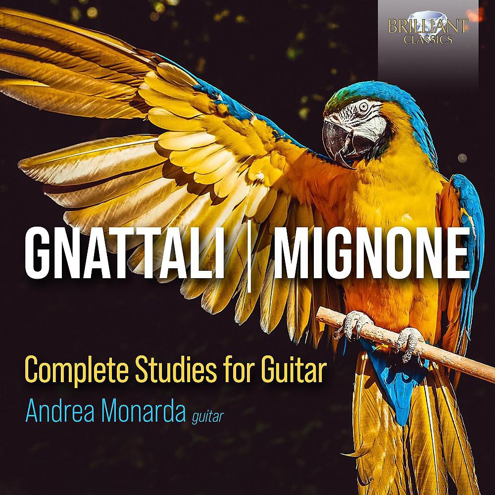 Постер альбома Gnattali, Mignone: Complete Studies for Guitar