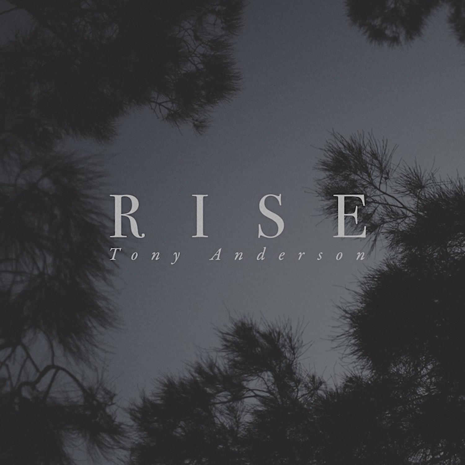 Постер альбома Rise (Snowfall Remix)