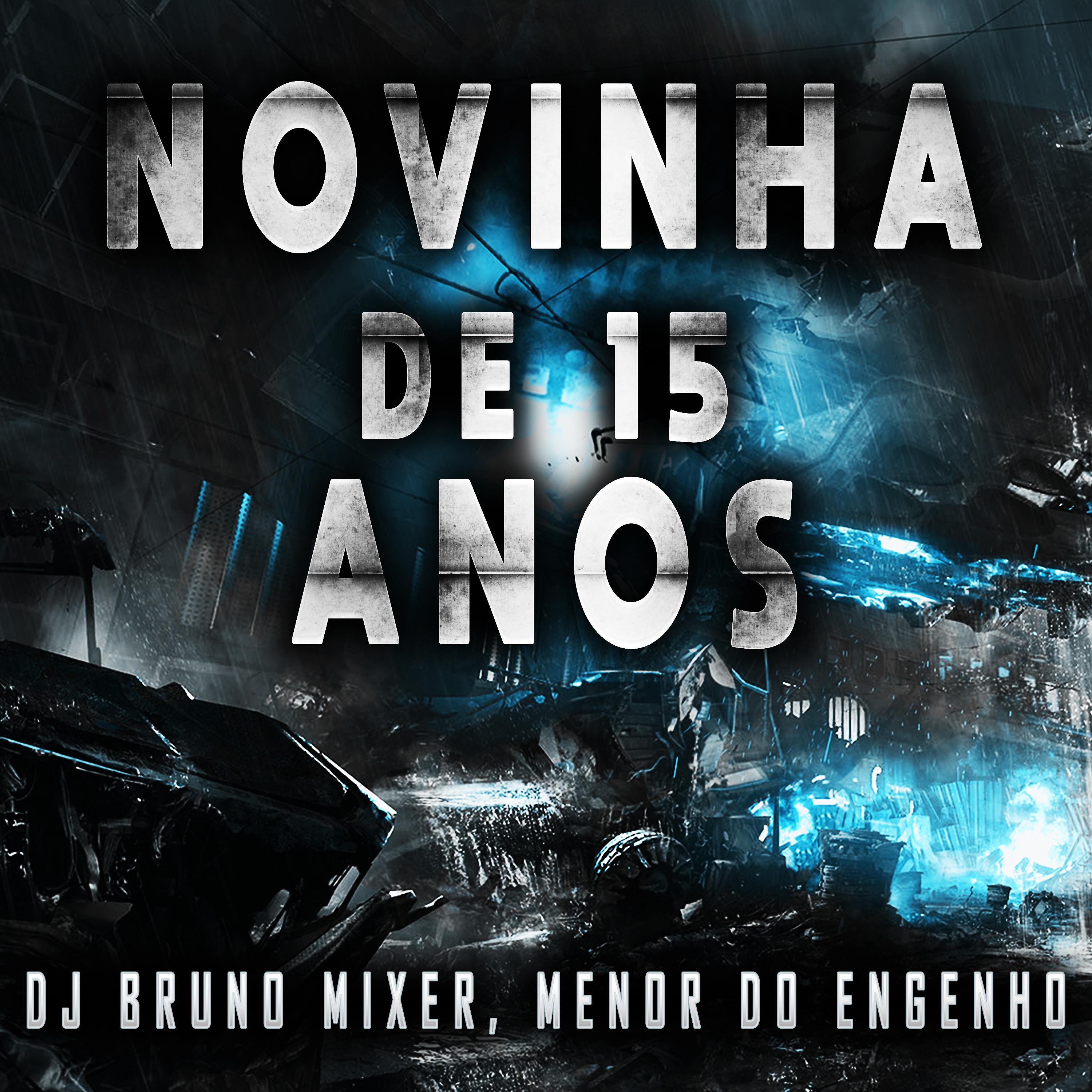 Постер альбома Novinha de 15 Anos