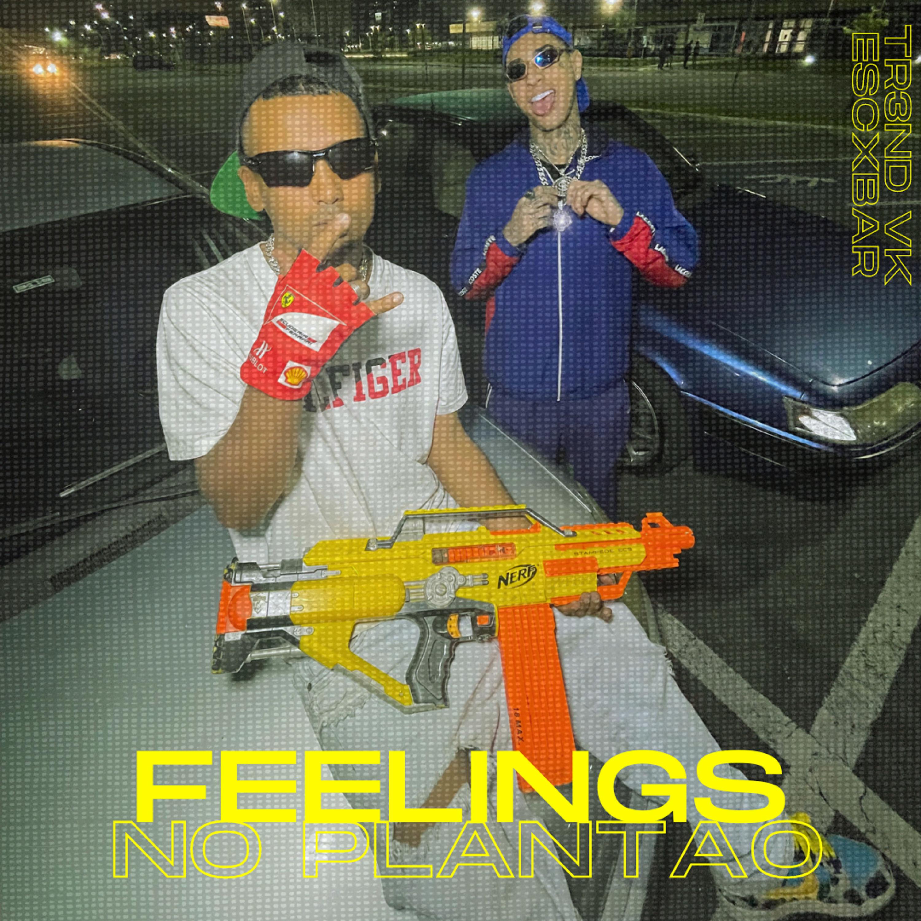 Постер альбома Feelings No Plantão