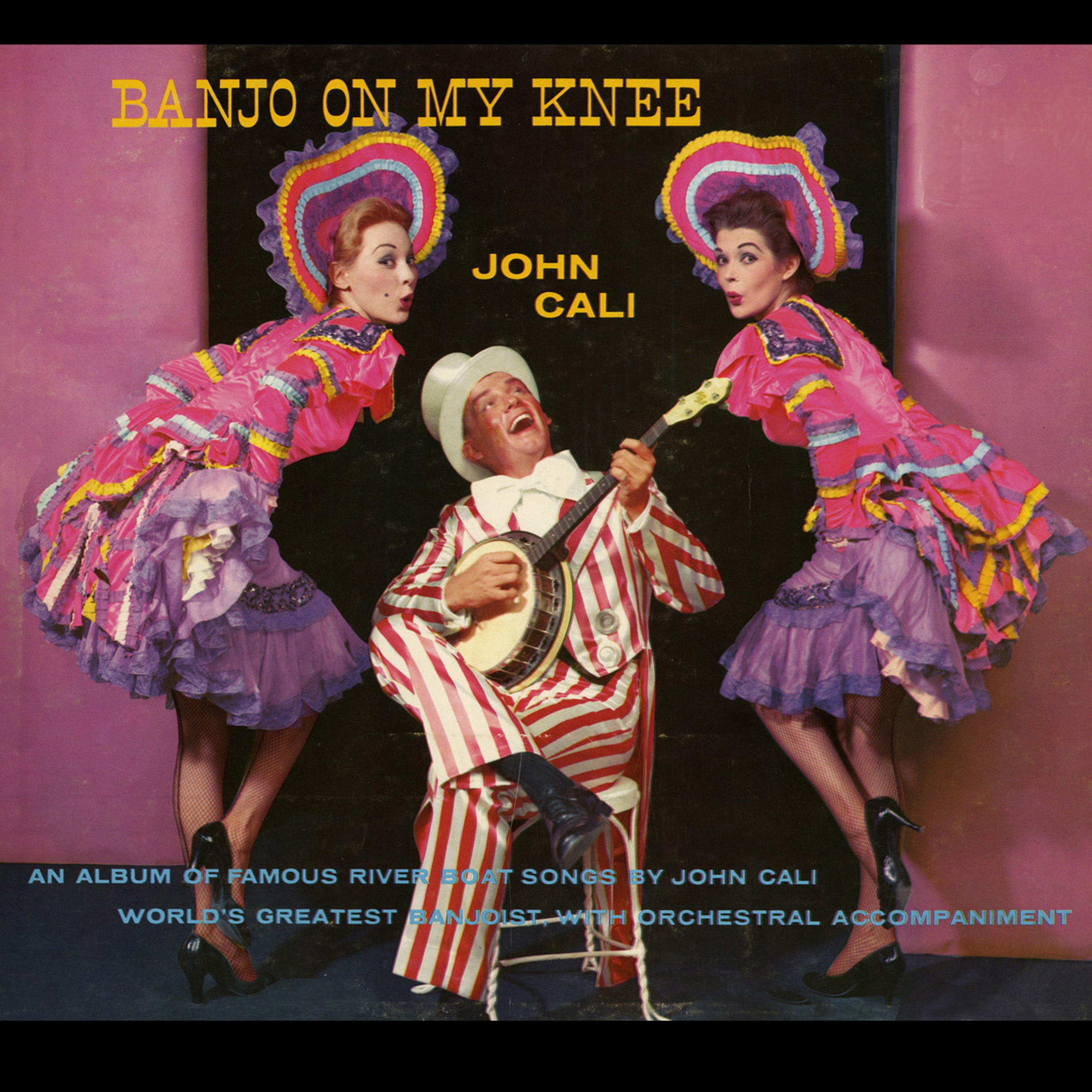 Постер альбома Banjo On My Knee
