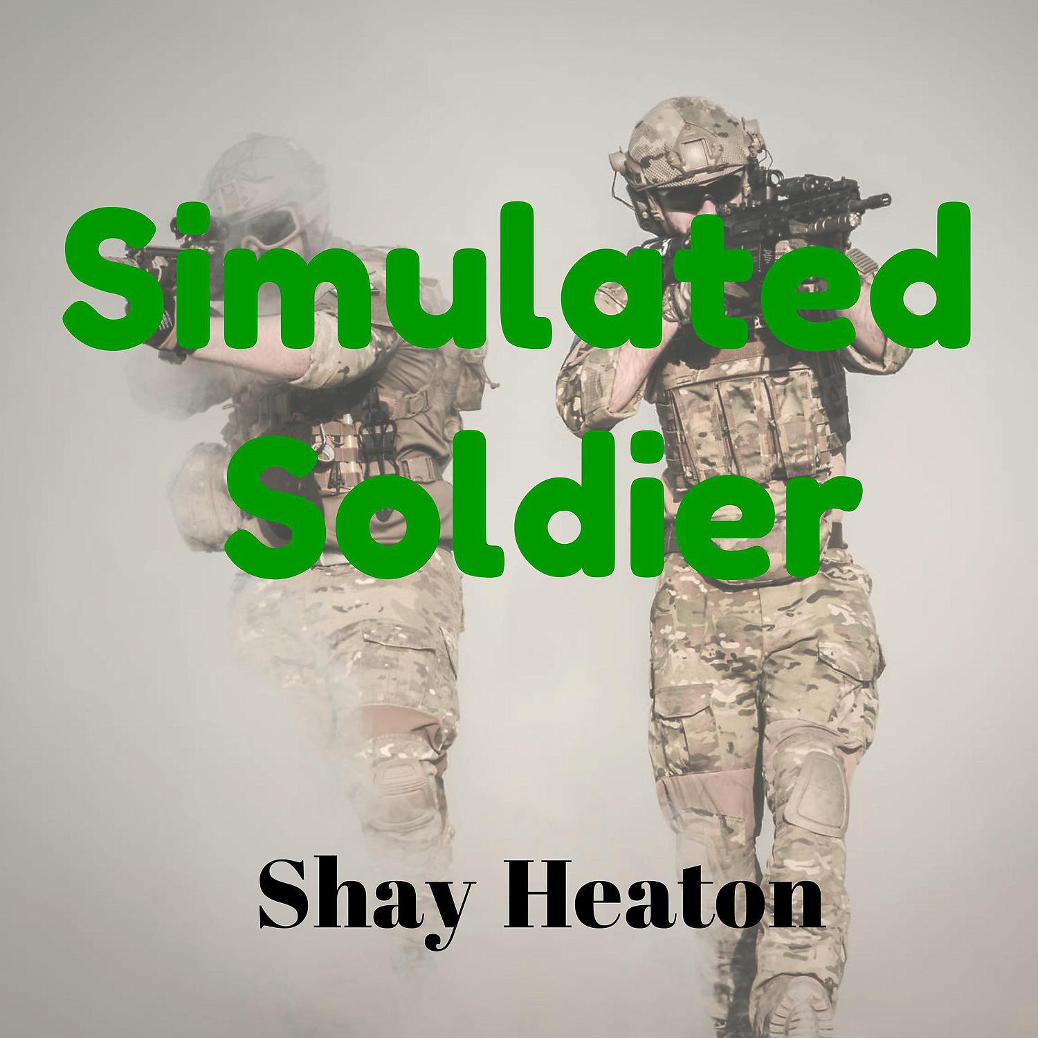 Постер альбома Simulated Soldier