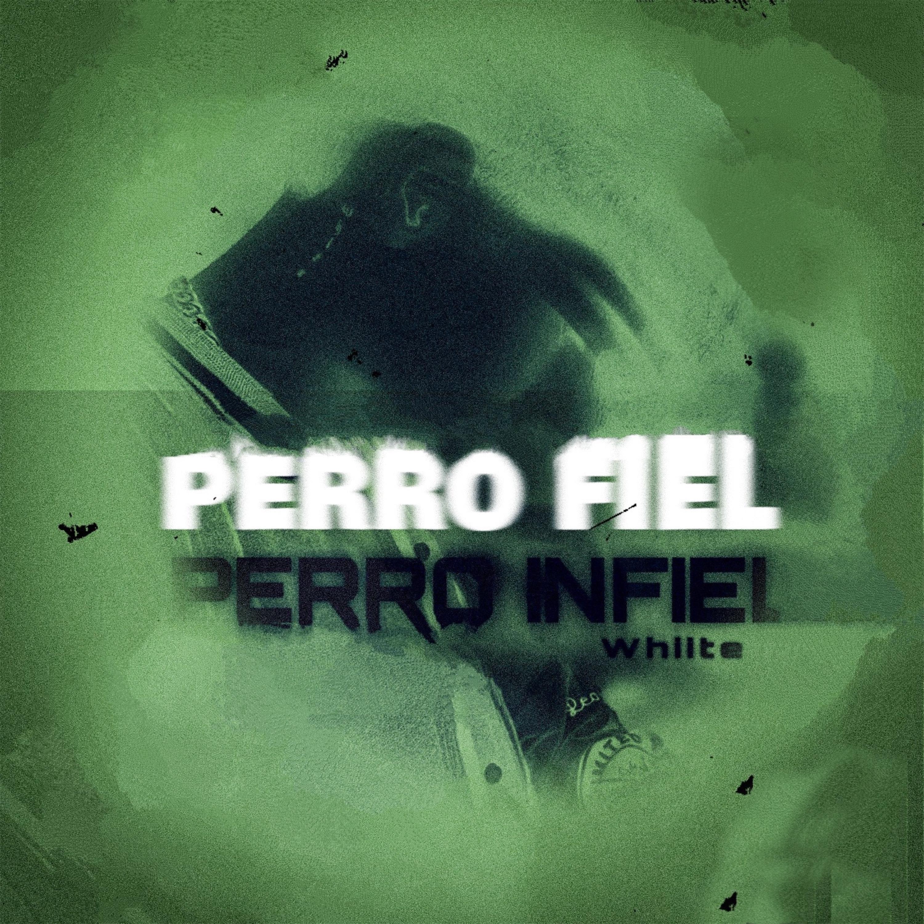 Постер альбома Perro Infiel