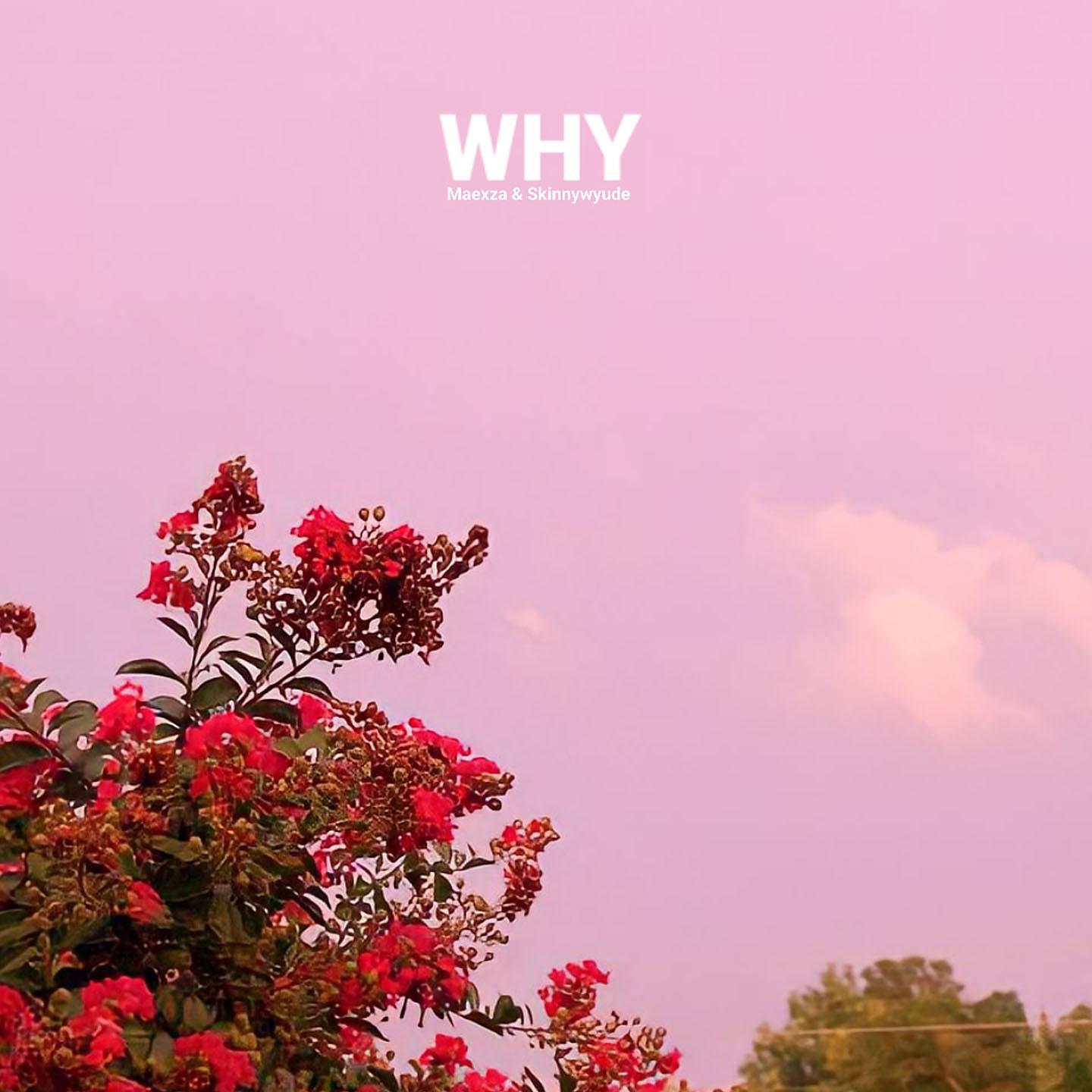 Постер альбома WHY