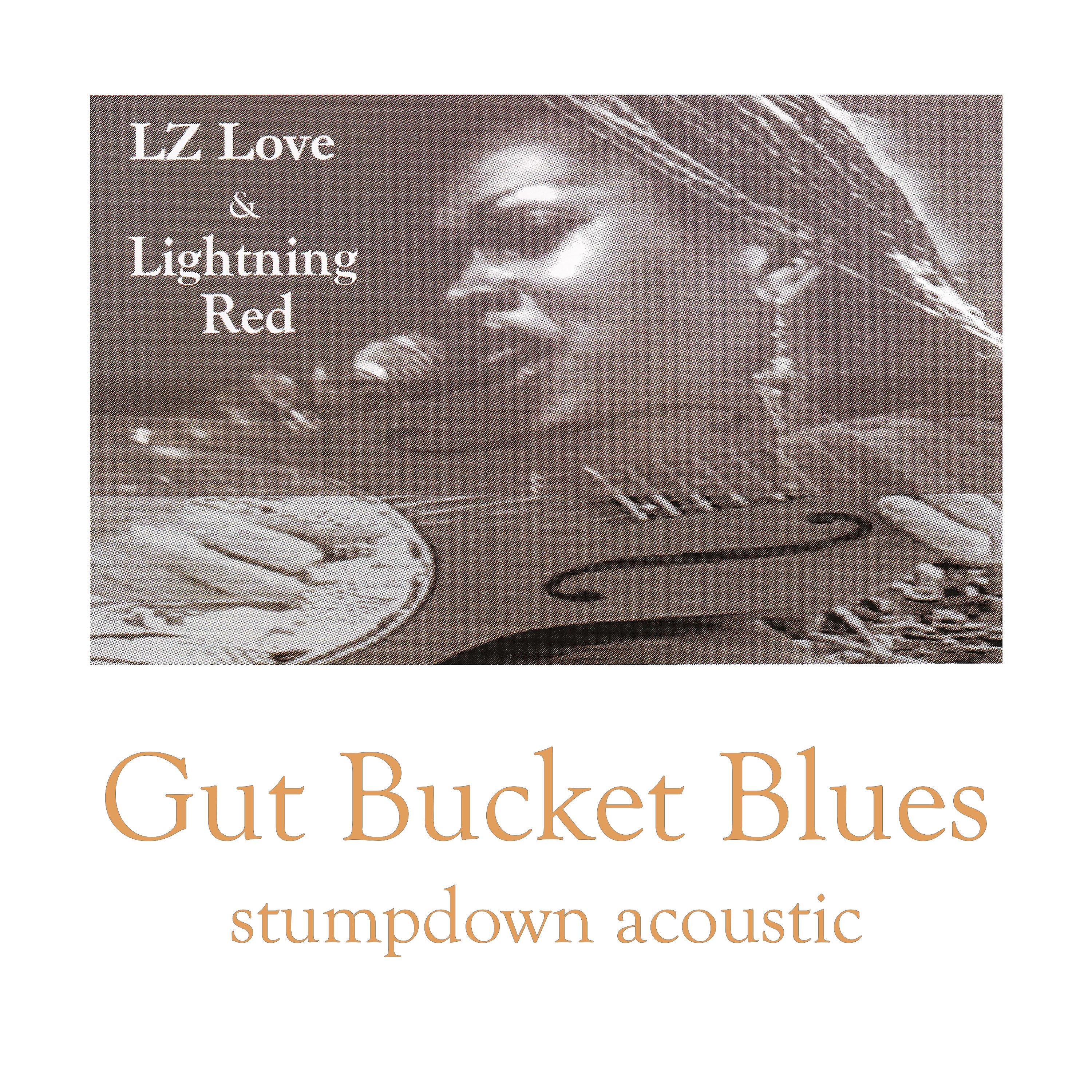 Постер альбома Gut Bucket Blues: Stumpdown Acoustic