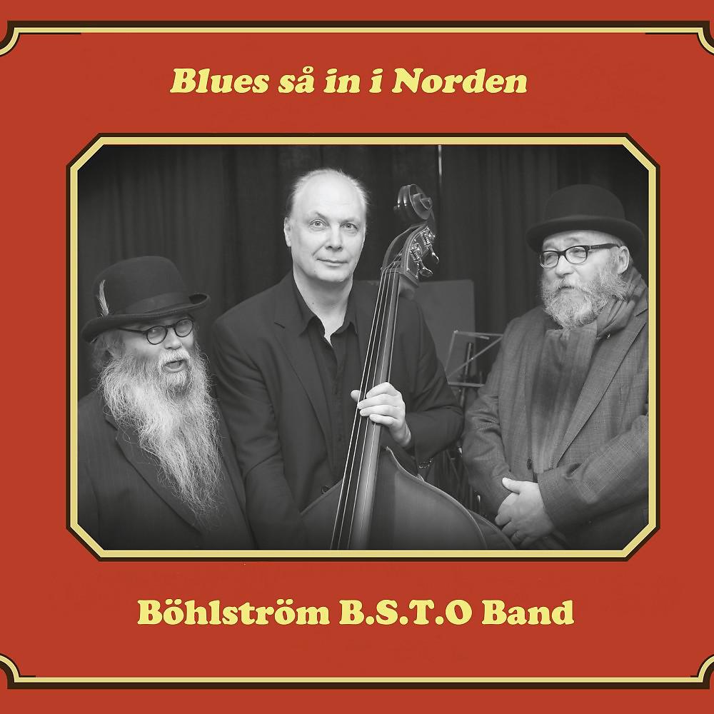 Постер альбома Blues så in i Norden