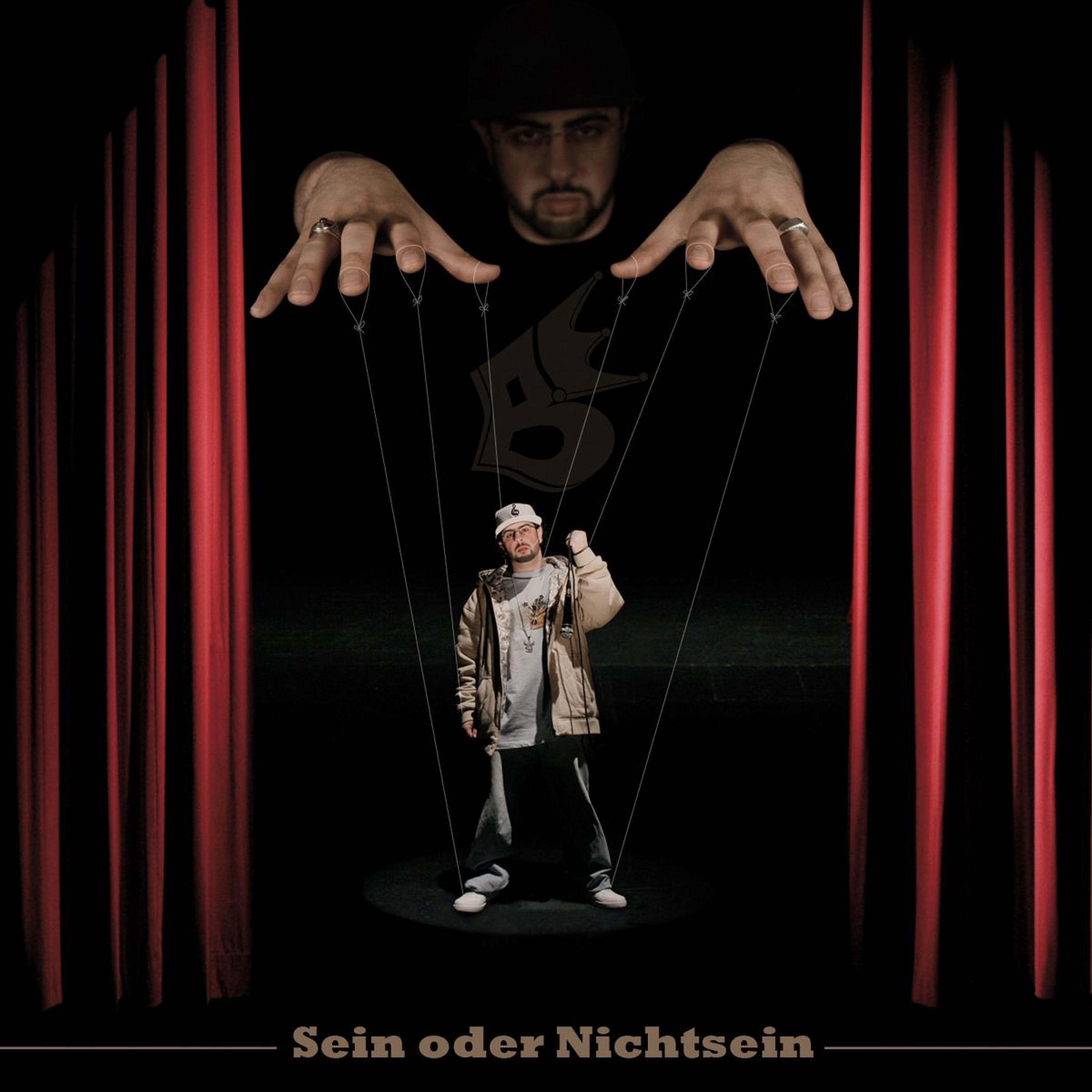 Постер альбома Sein Oder Nichtsein