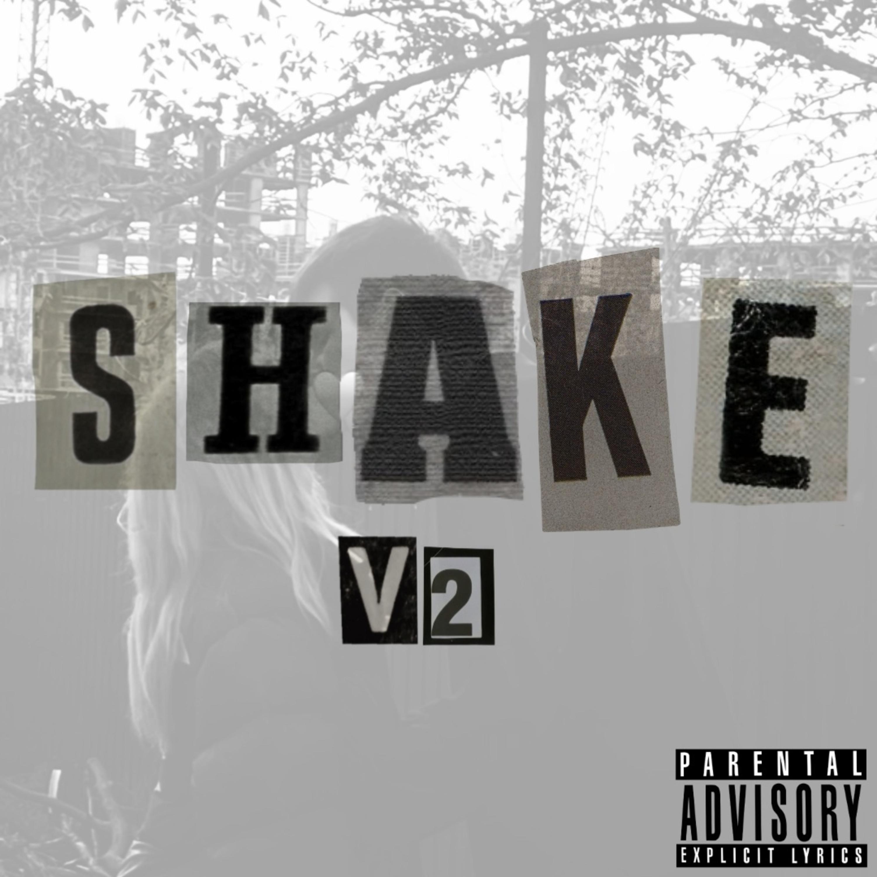 Постер альбома Shake, Vol. 2