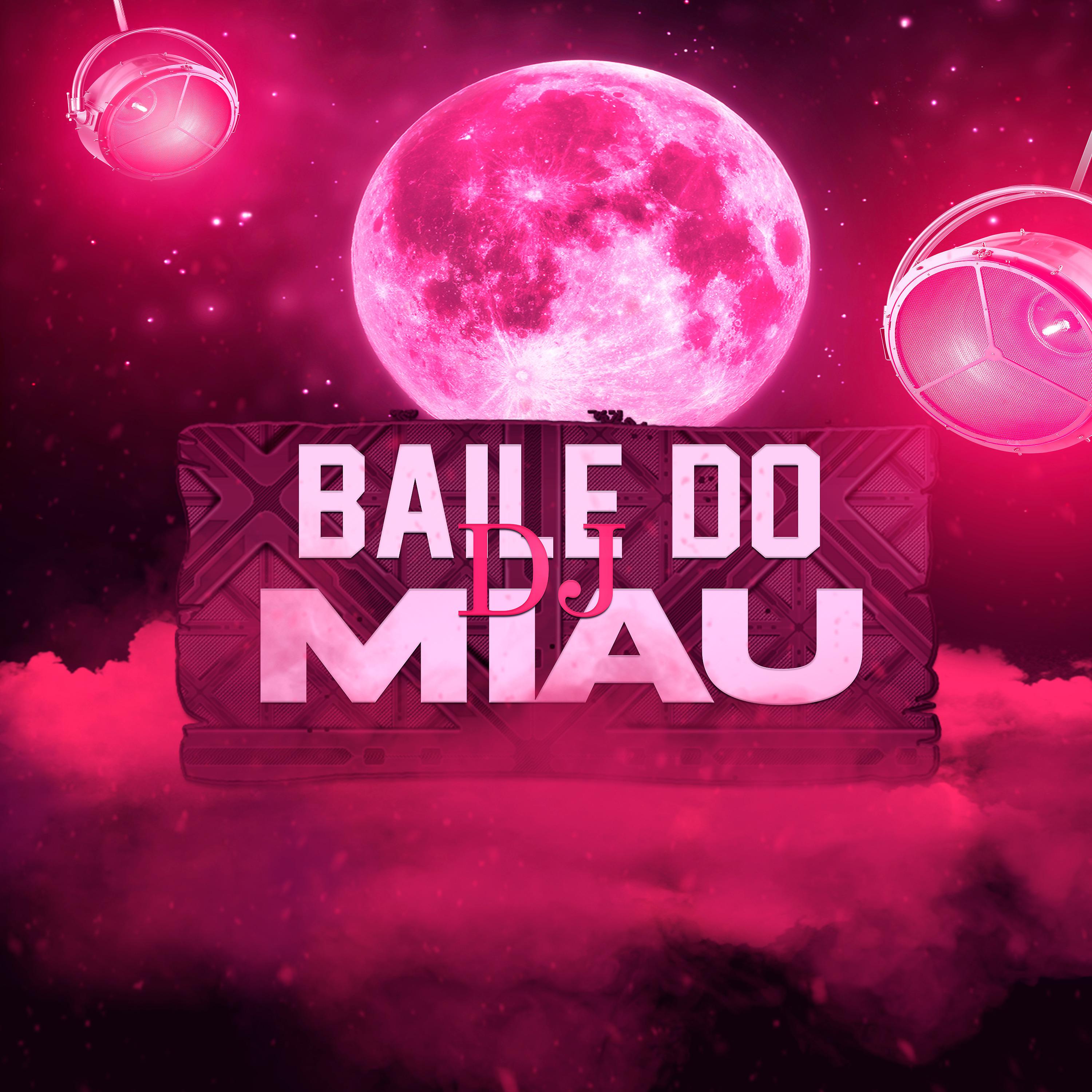Постер альбома No Baile do Dj Miau