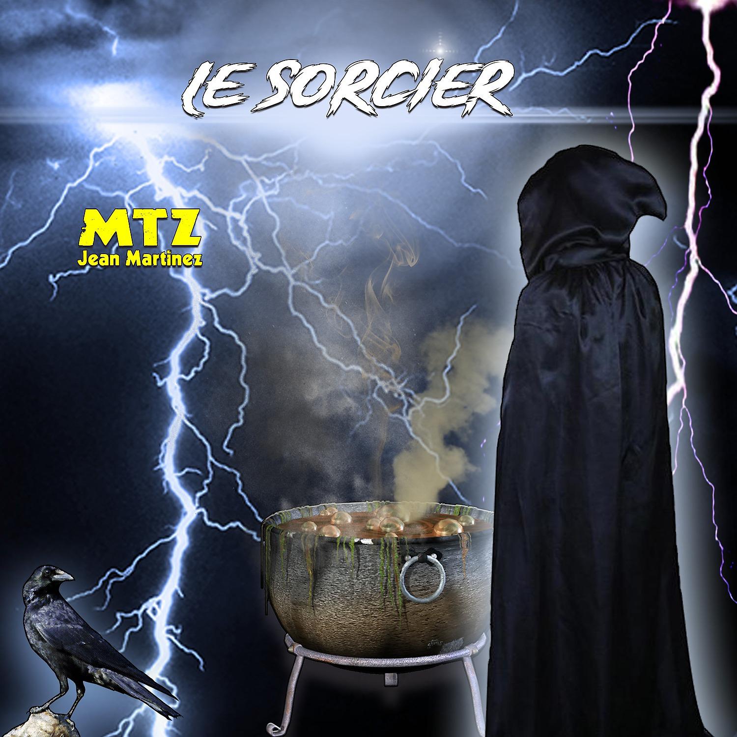 Постер альбома Le sorcier
