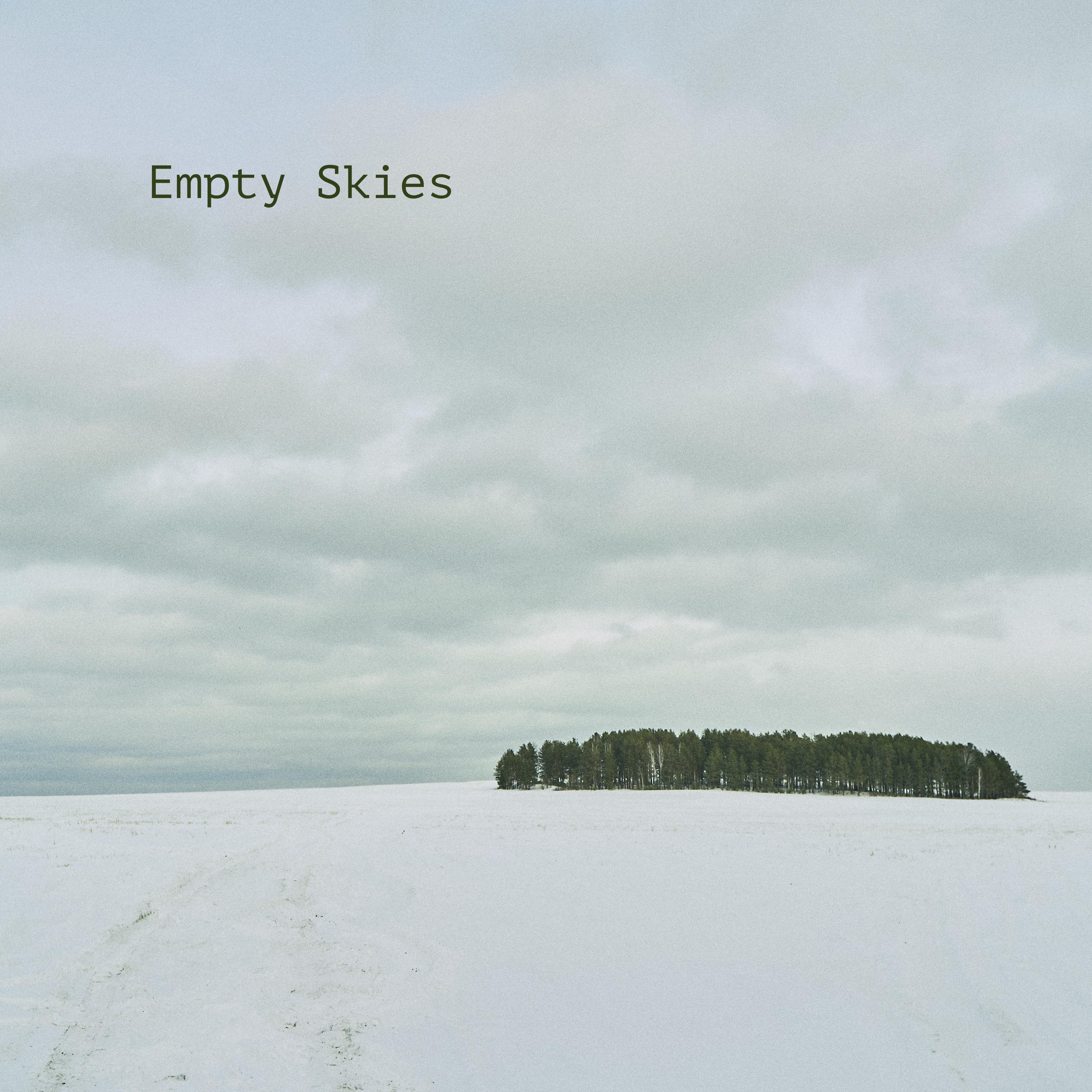 Постер альбома Empty Skies