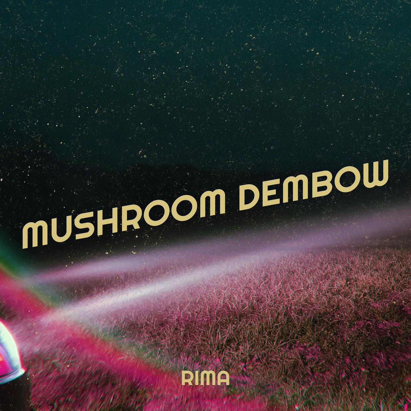 Постер альбома Mushroom Dembow