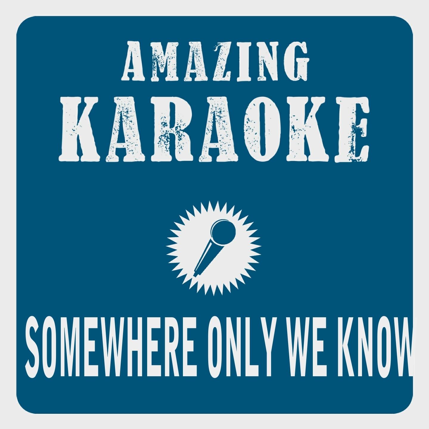 Постер альбома Somewhere Only We Know (Karaoke Version)