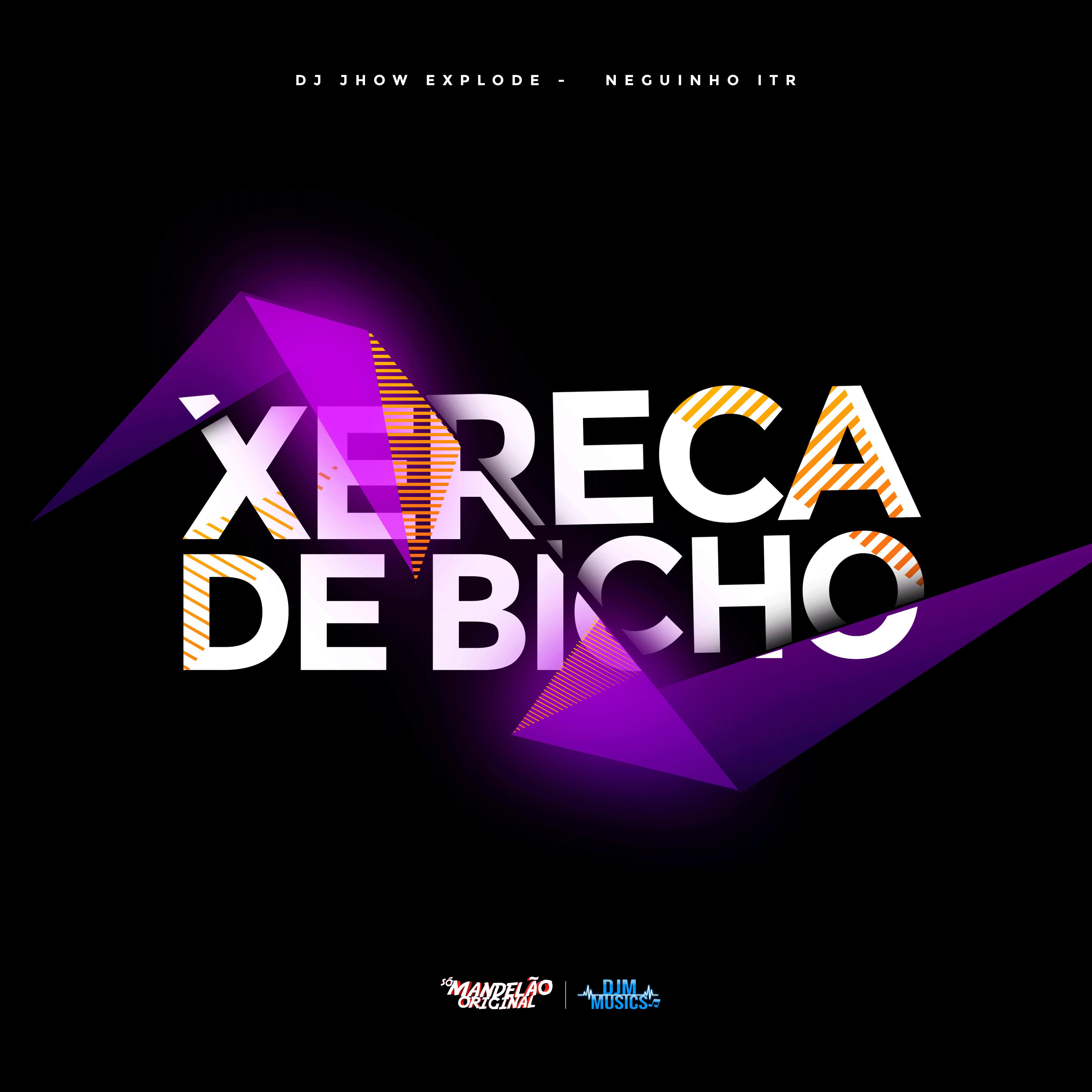 Постер альбома Xereca de Bicho