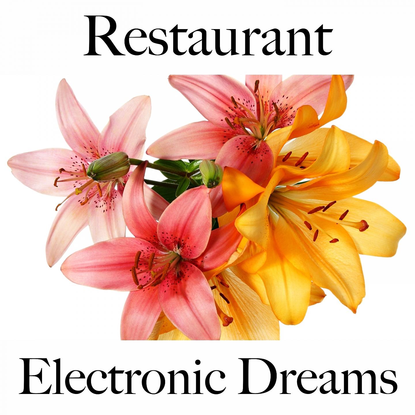 Постер альбома Restaurant: Electronic Dreams - Les Meilleurs Sons Pour Se Détendre