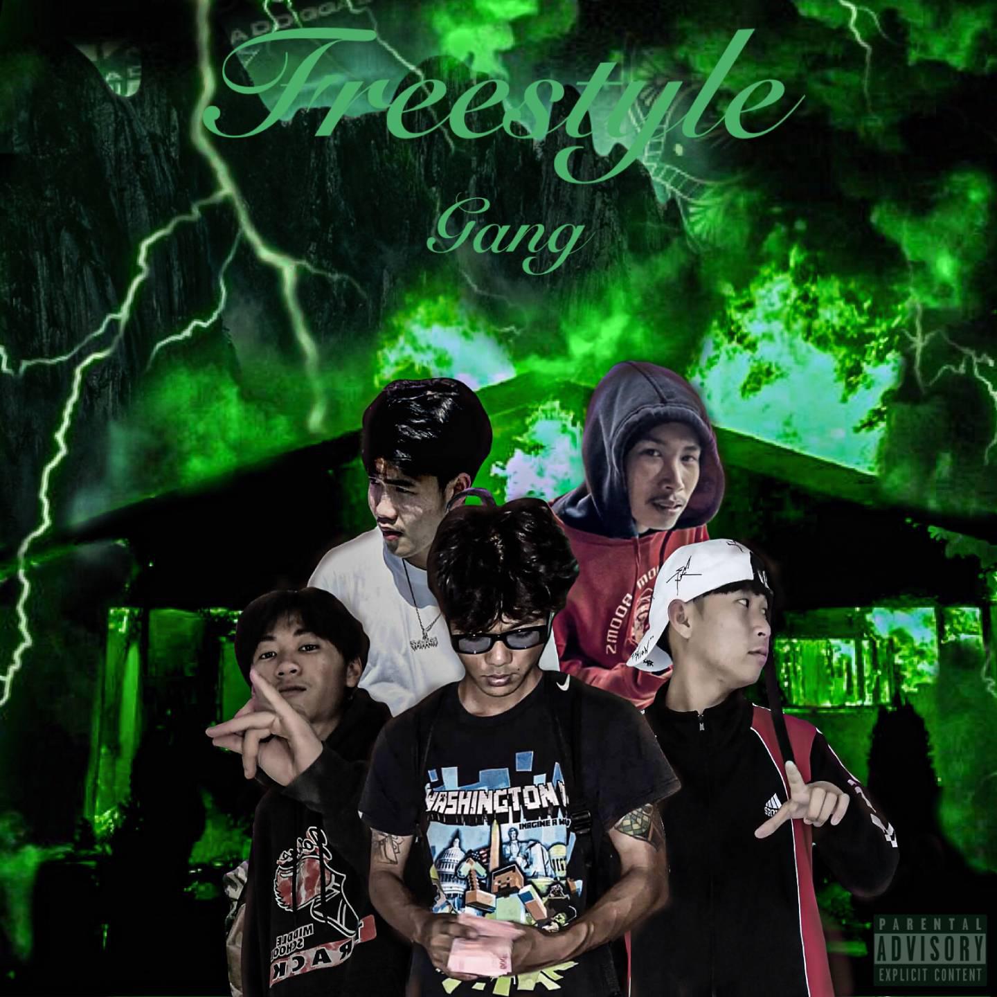Постер альбома Freestye Gang