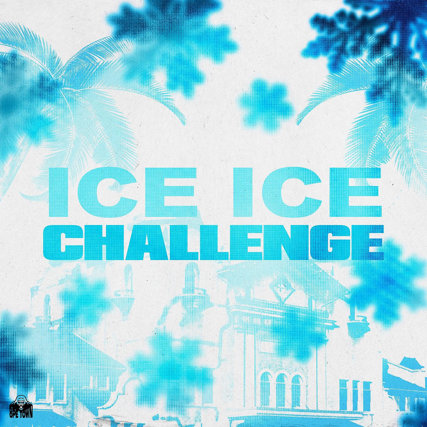 Постер альбома Ice Ice Challenge