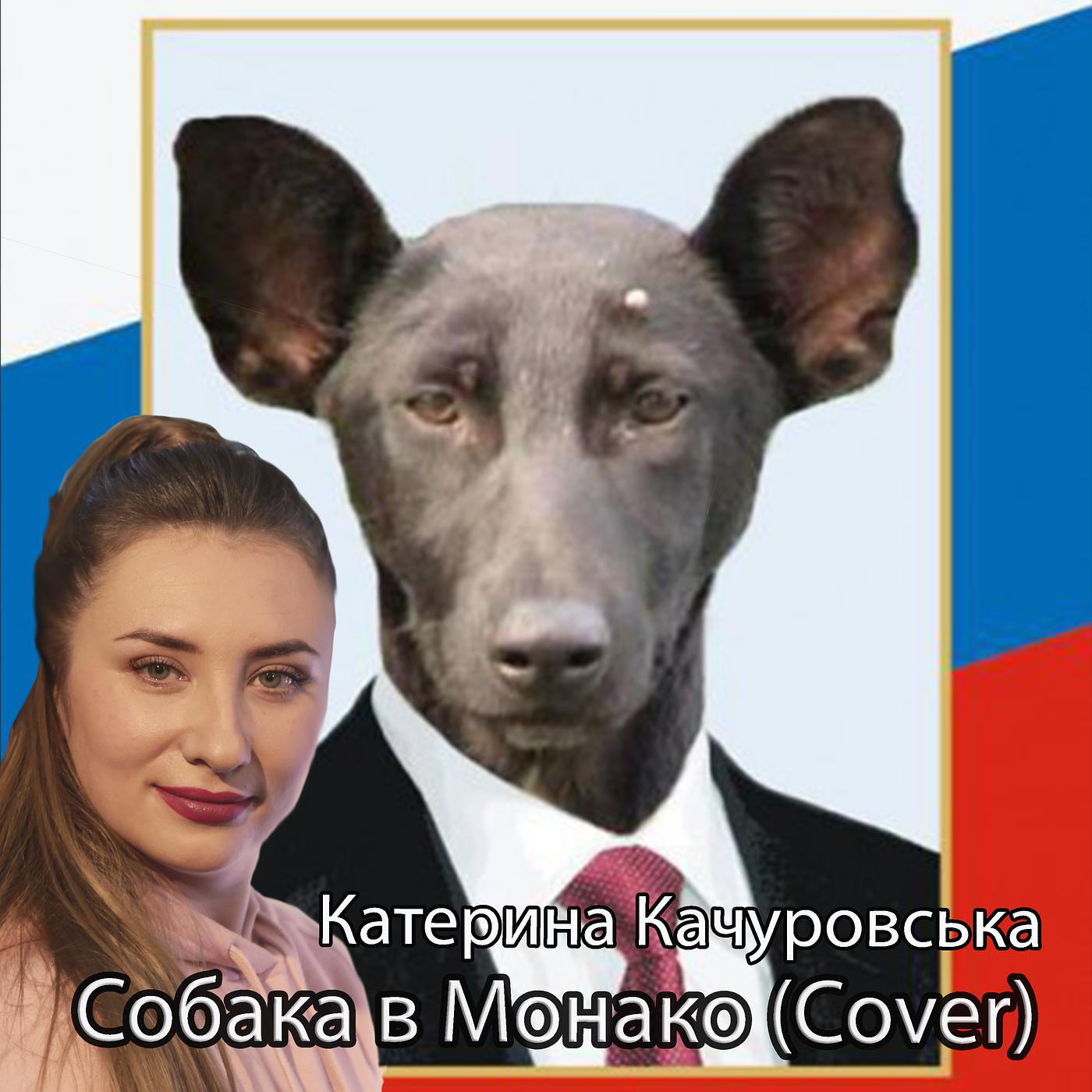 Постер альбома Собака в монако