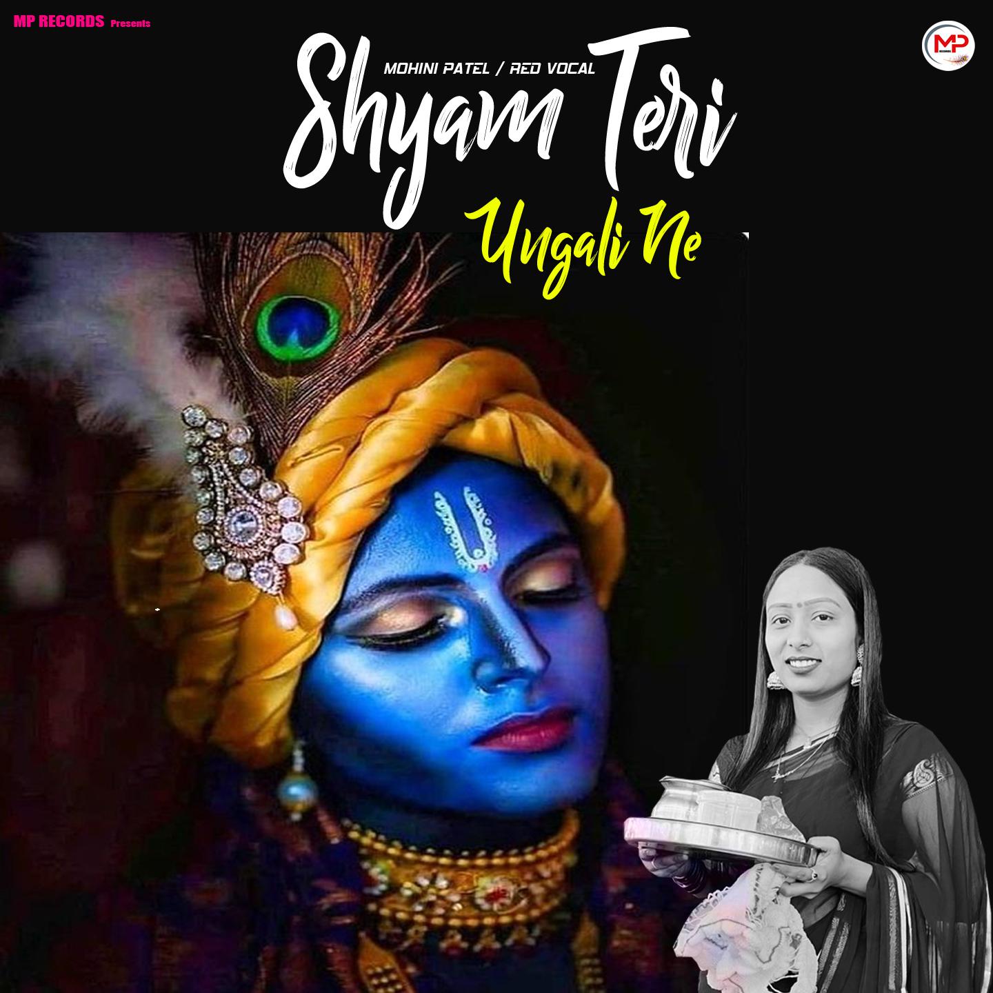 Постер альбома Shyam Teri Ungali Ne