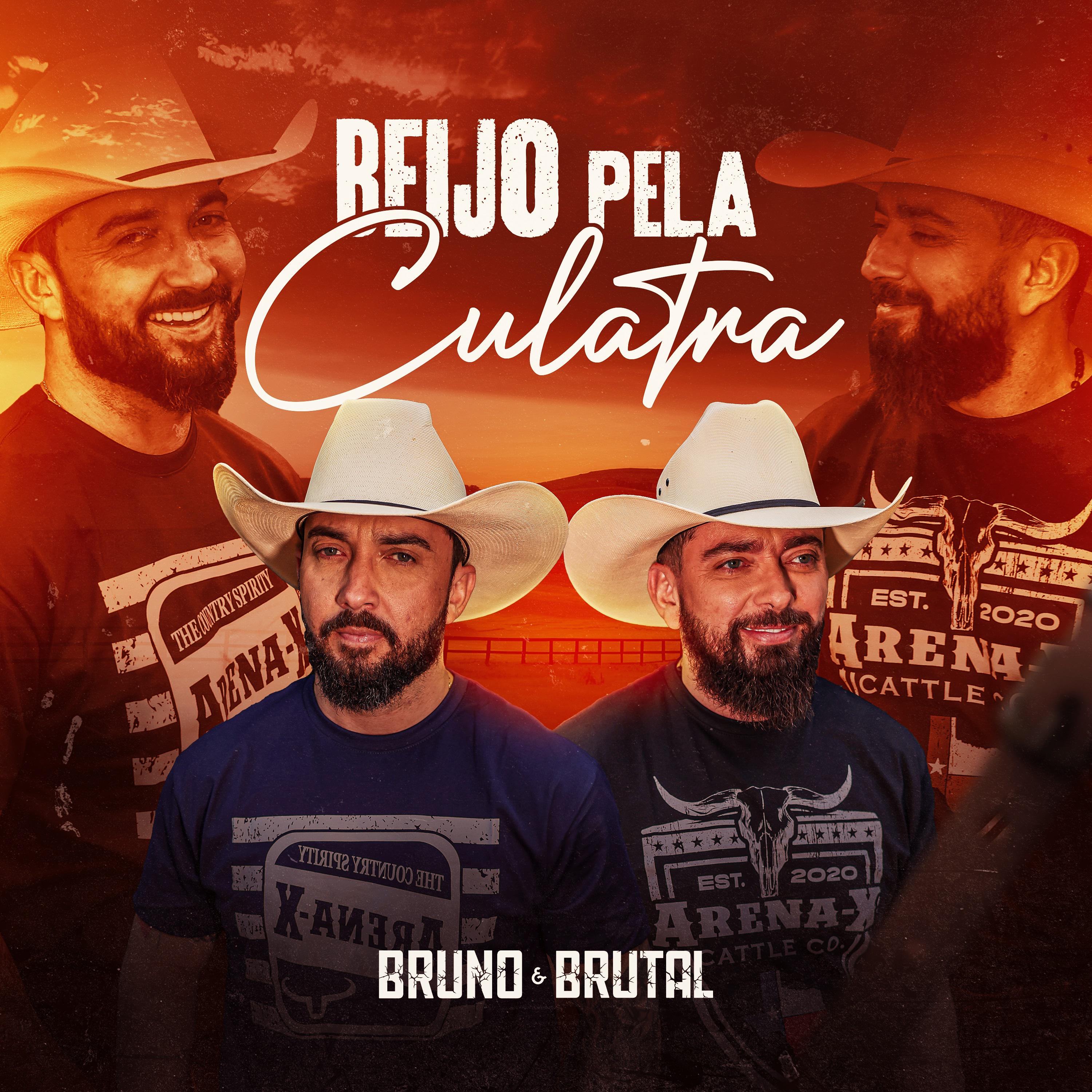 Постер альбома Beijo Pela Culatra