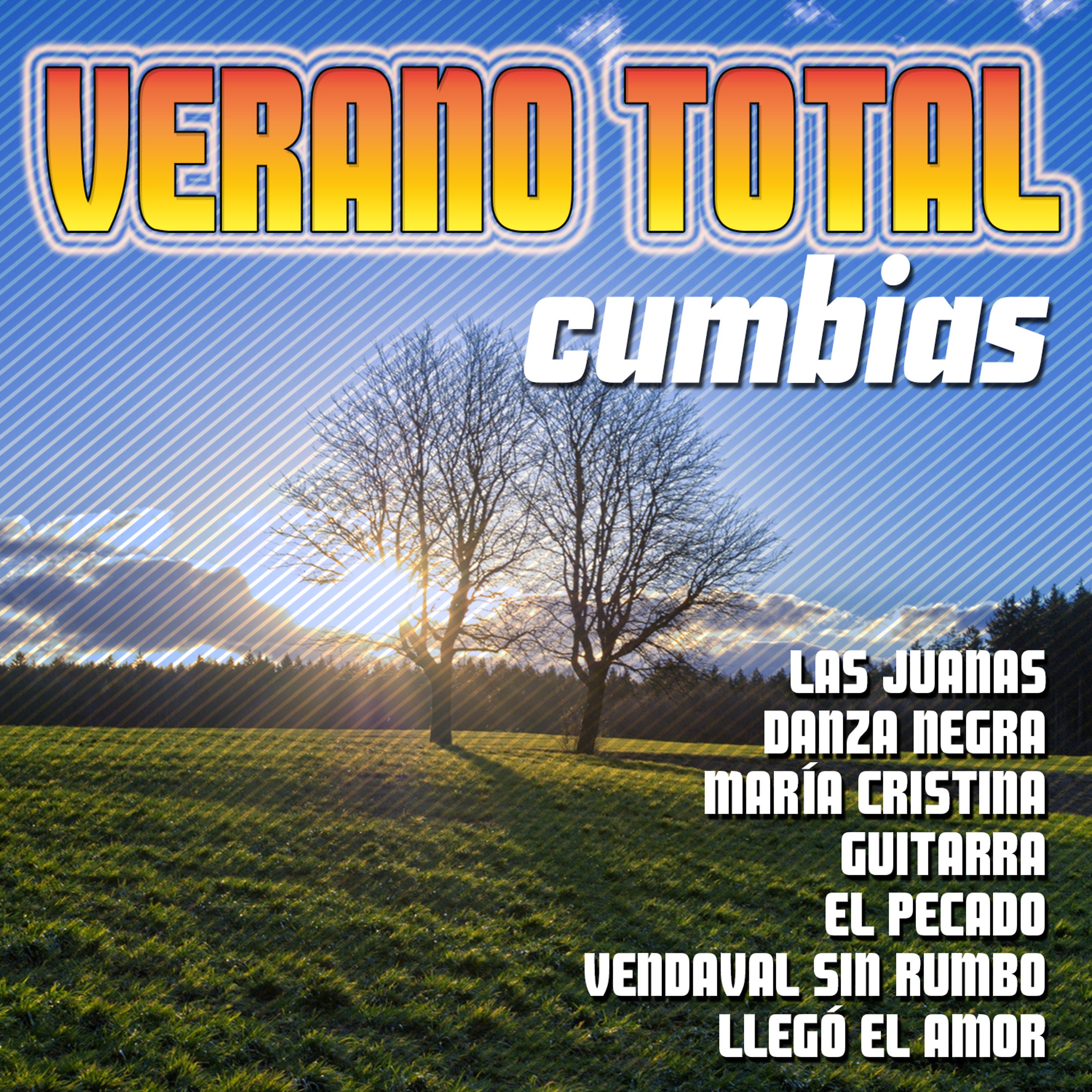 Постер альбома Verano Total - Cumbias