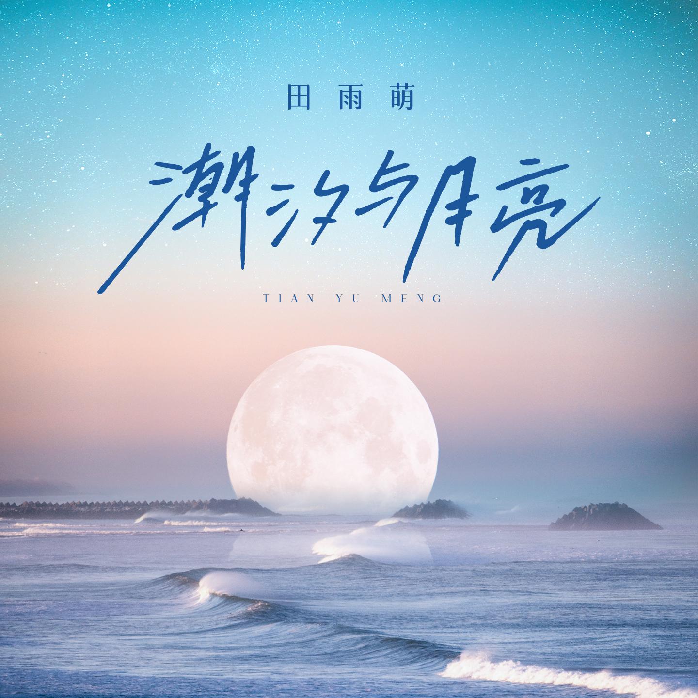 Постер альбома 潮汐与月亮