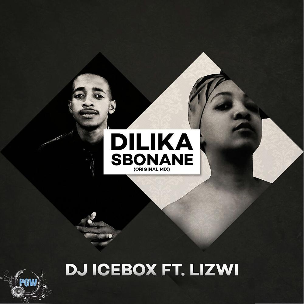 Постер альбома Dilika Sbonane