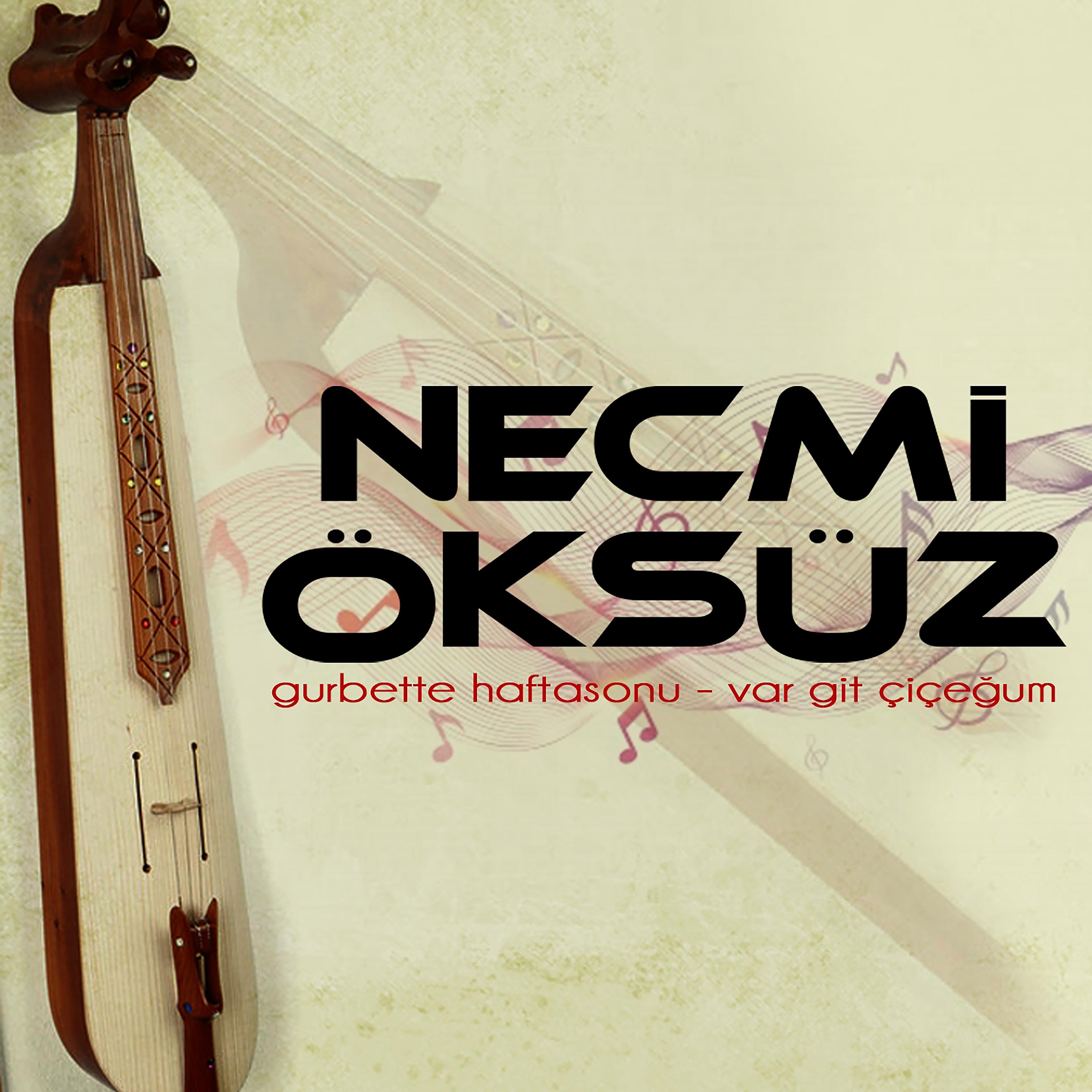 Постер альбома Gurbette Hafta Sonu / Var Git Çiçeğum