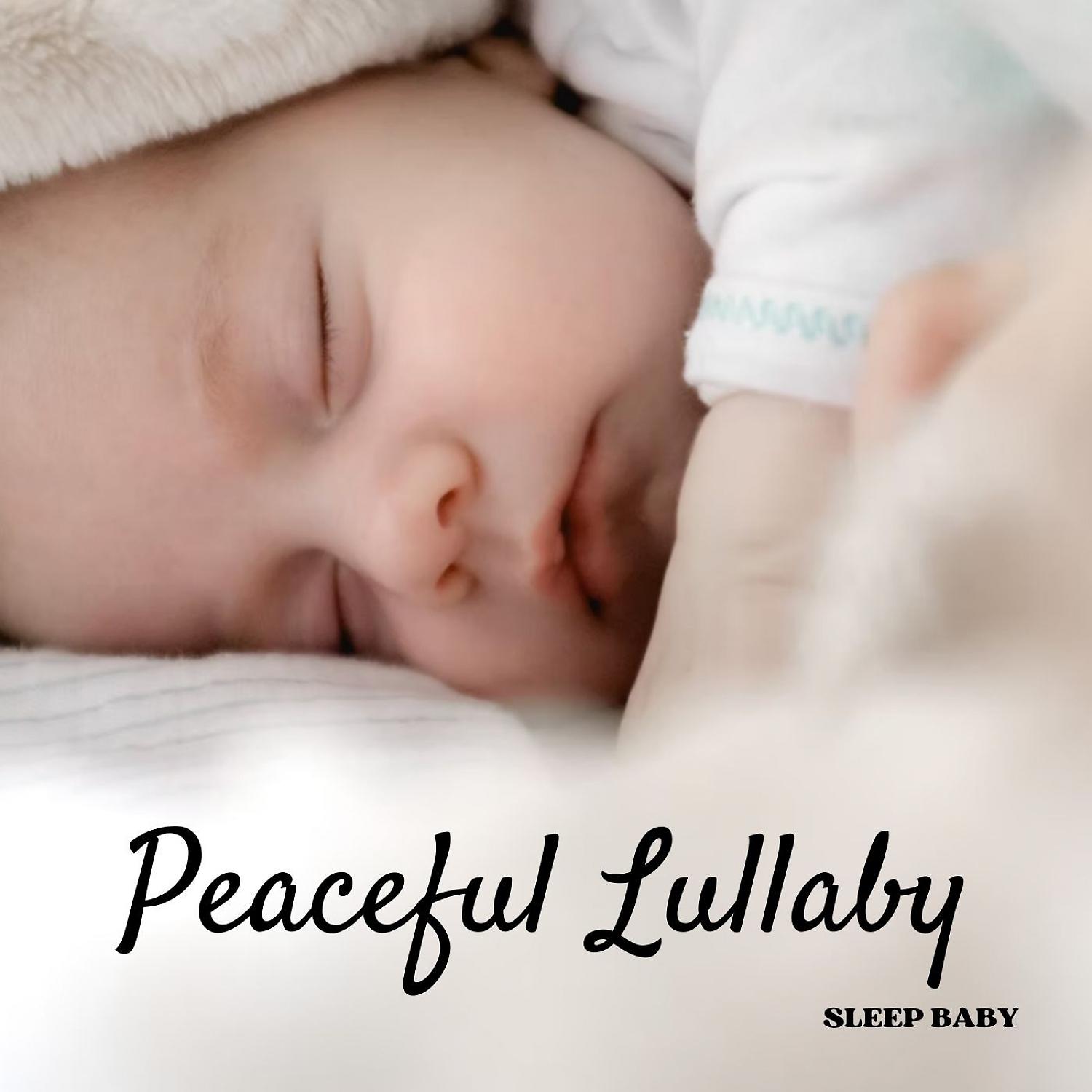 Постер альбома Sleep Baby: Peaceful Lullaby