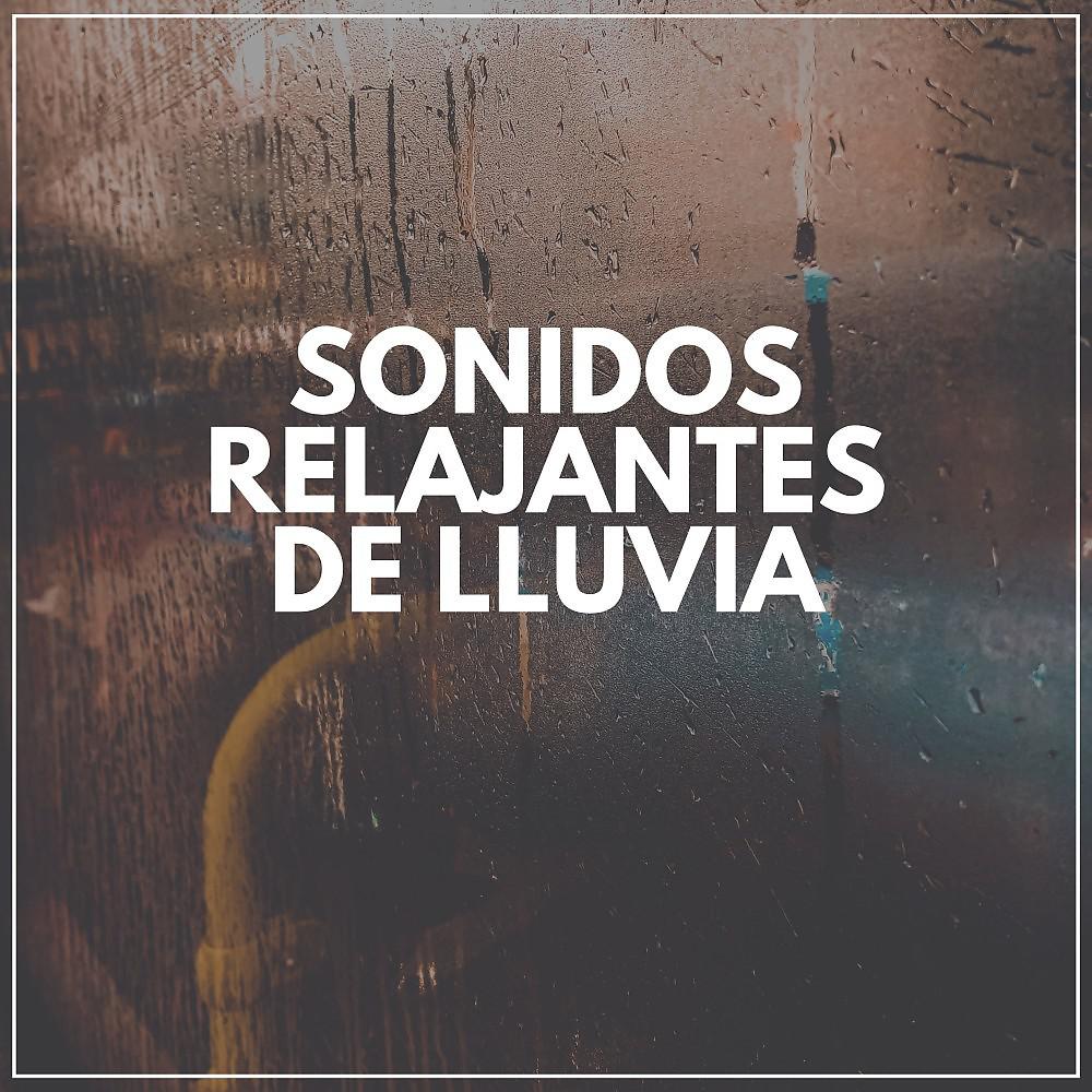 Постер альбома Sonidos Relajantes De Lluvia