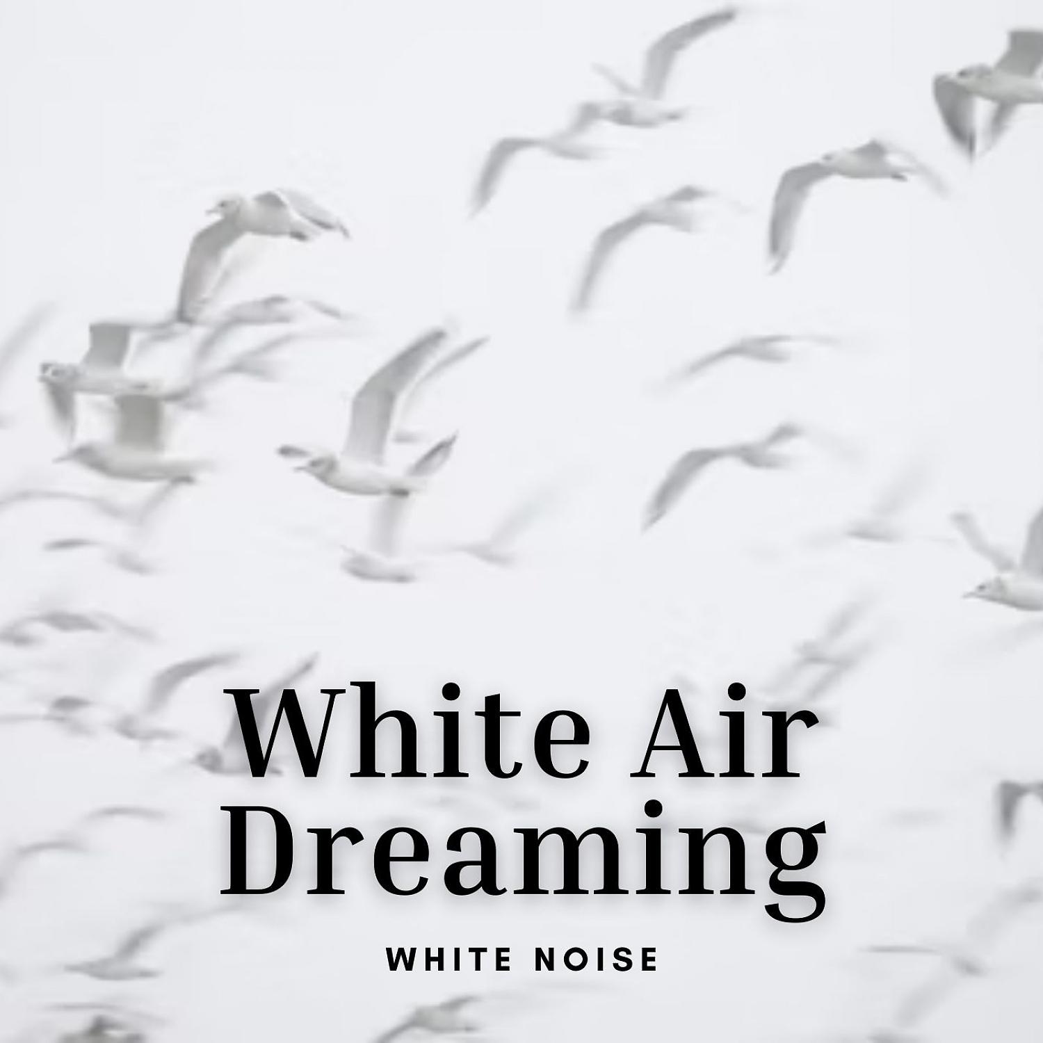 Постер альбома White Noise: White Air Dreaming