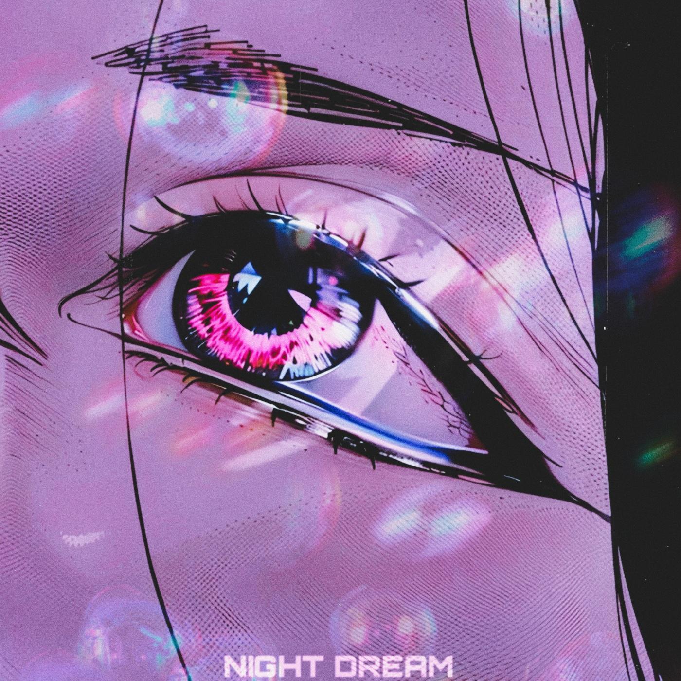 Постер альбома NIGHT DREAM