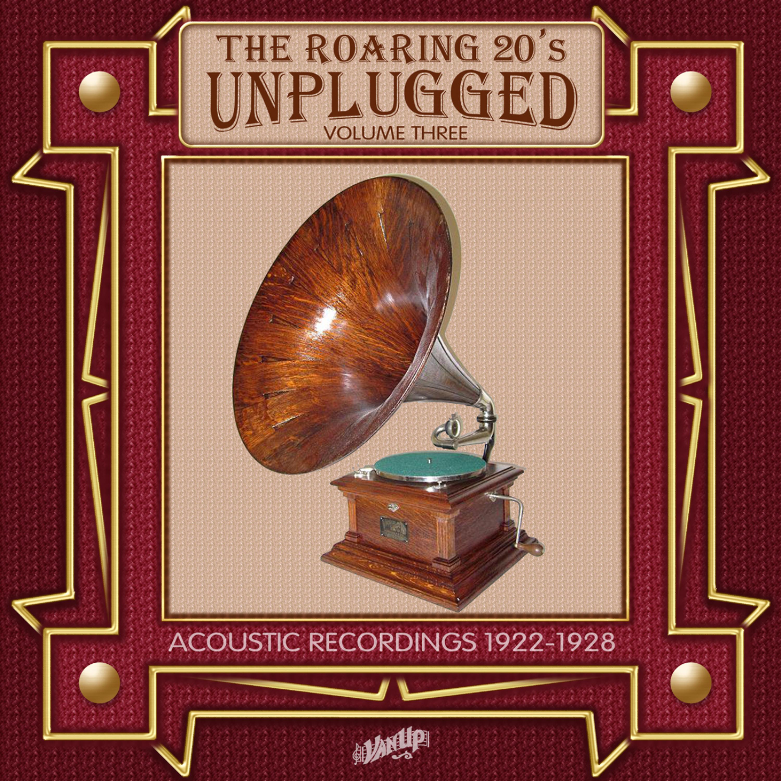 Постер альбома Roaring 20s Unplugged, Vol. 3: Acoustic Recordings 1922-1928