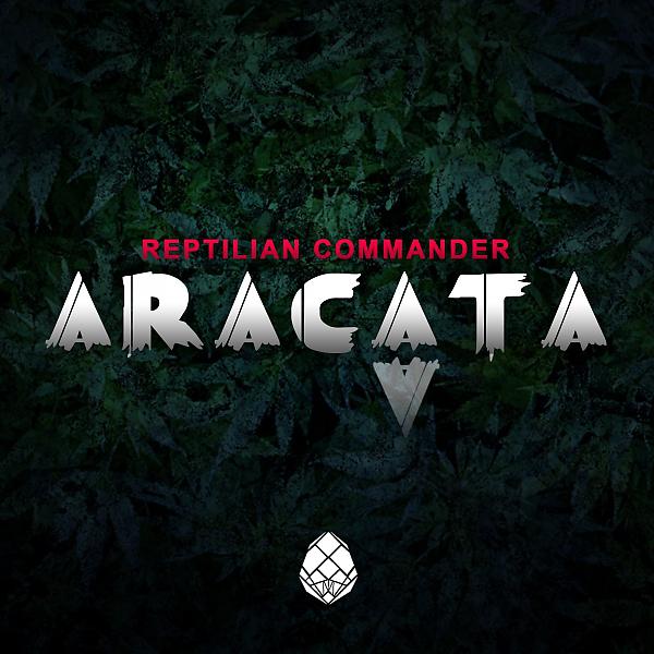 Постер альбома Aracata